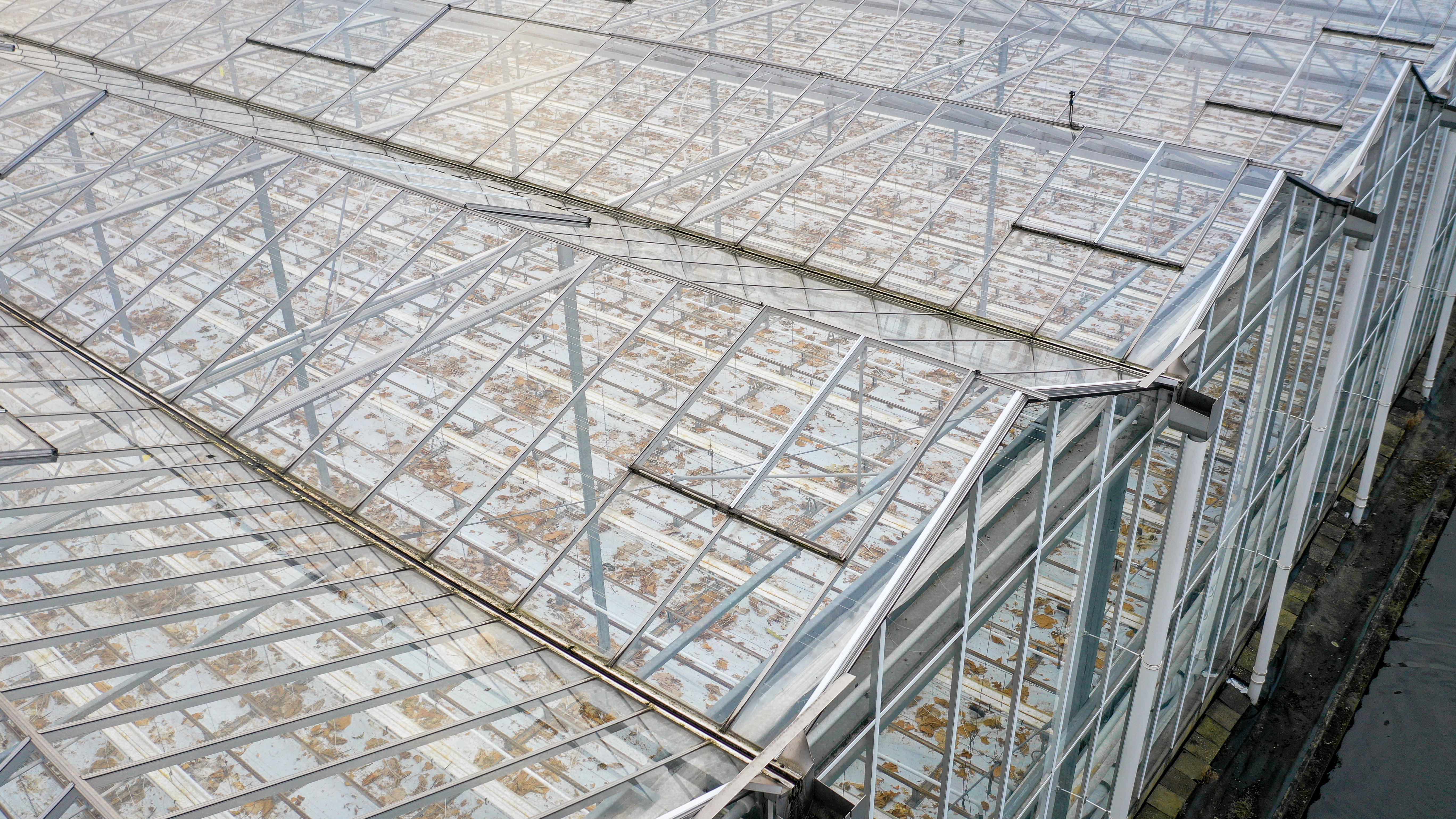 Venlo greenhouse 8,00 m 14.464 m²