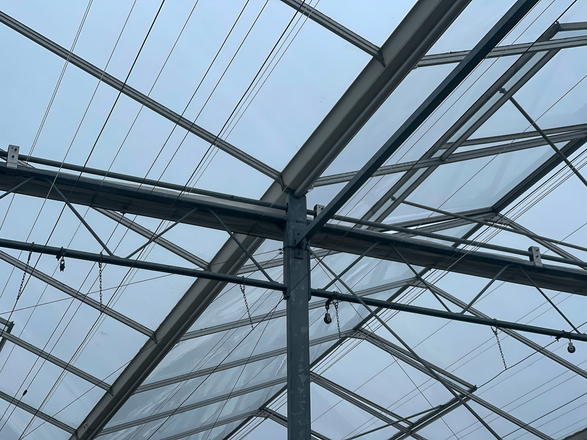 Venlo greenhouse 8,00 m 18.276 m²
