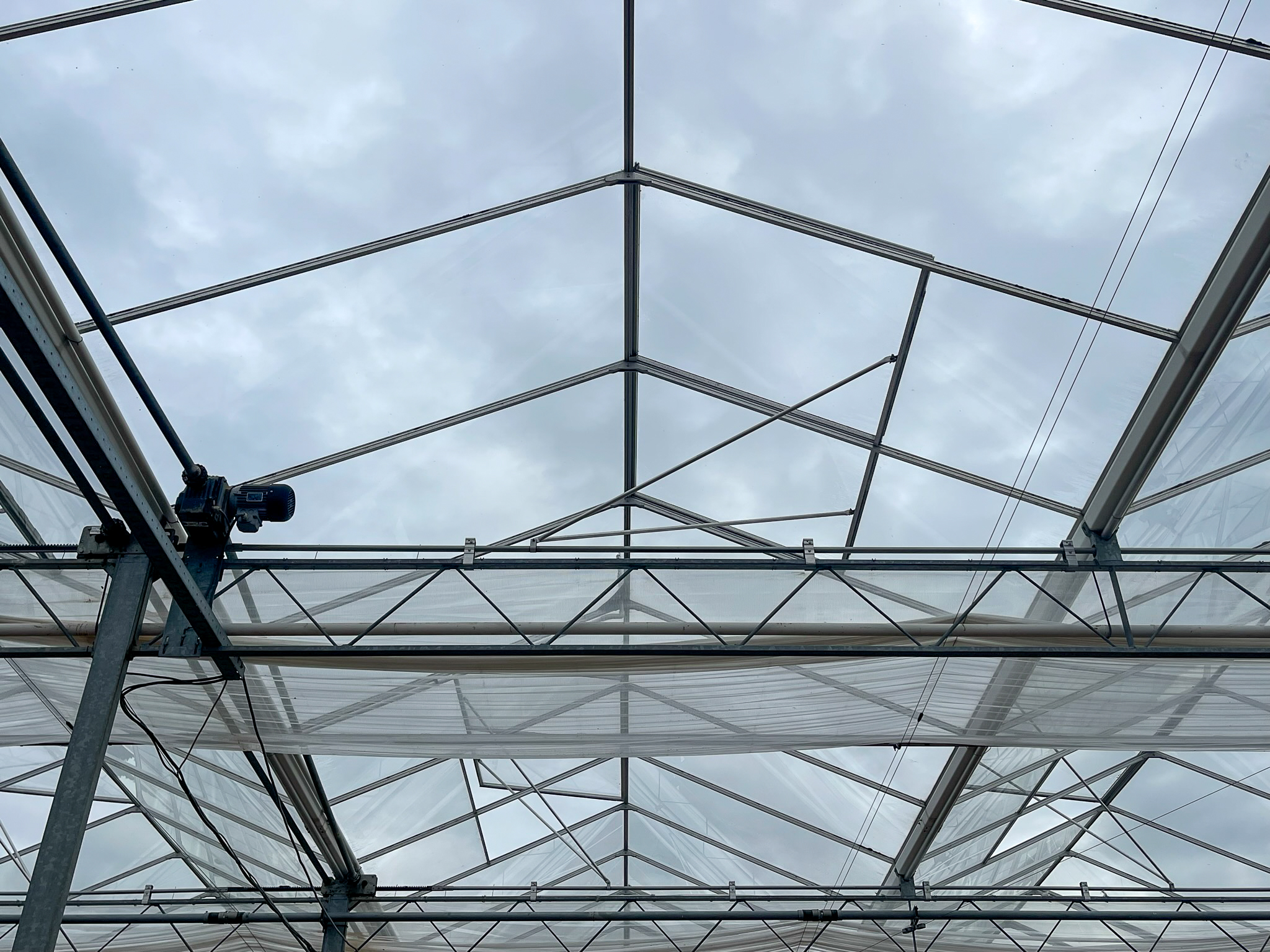 Venlo greenhouse 8,00 m 9.918 m²