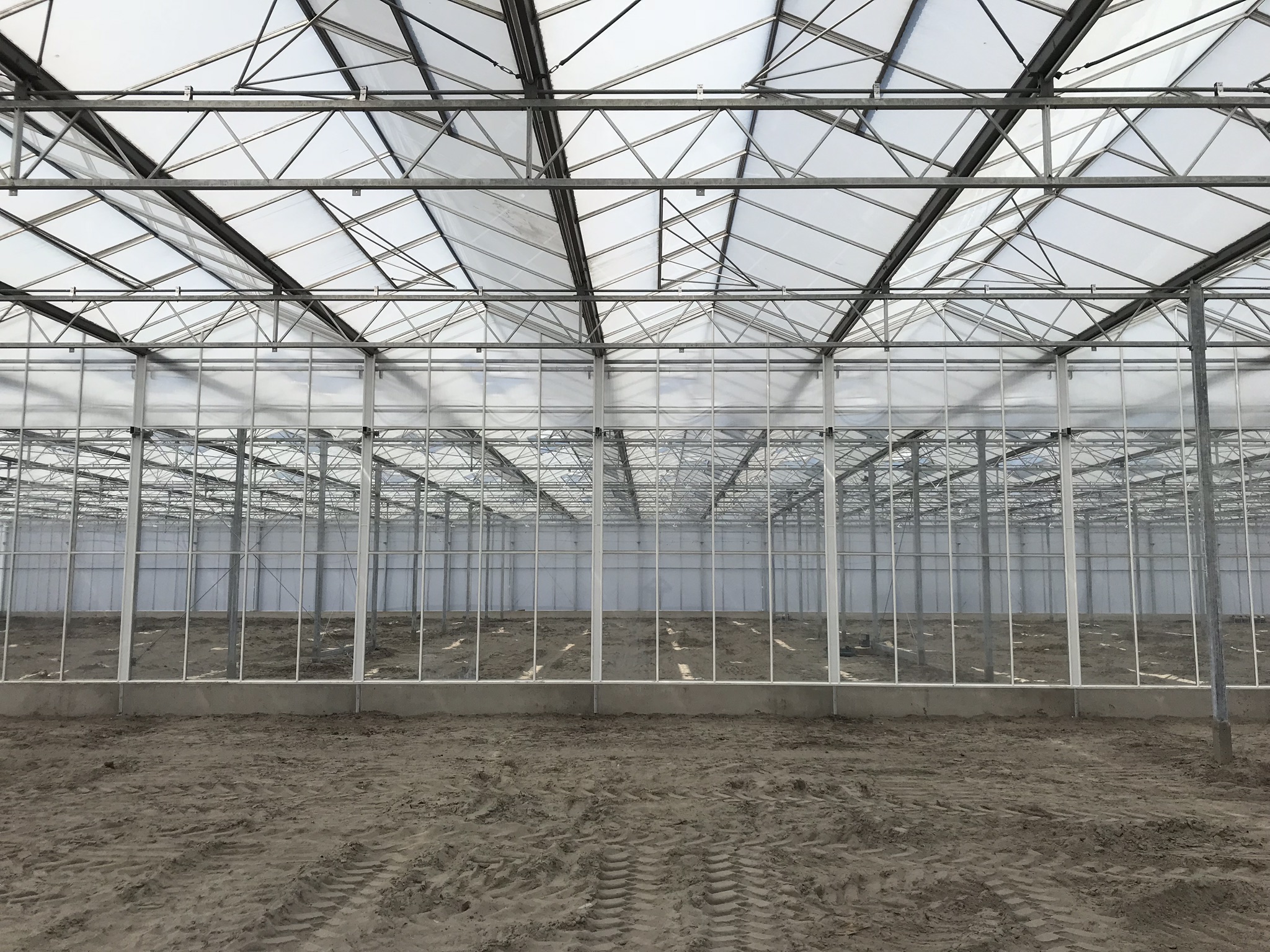 Venlo greenhouse 12,80 m 7.770 m²