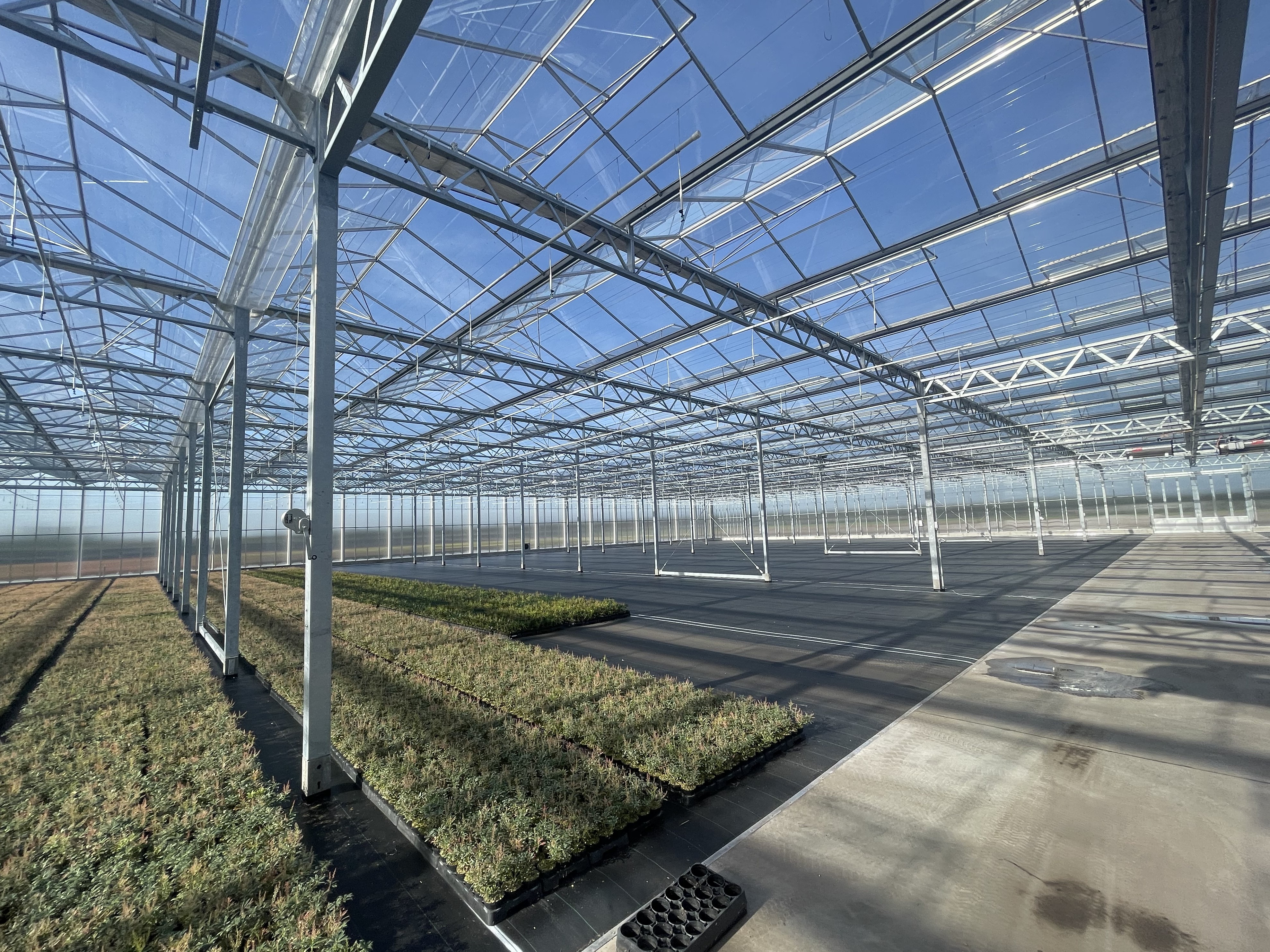 Venlo greenhouse 12,80 m 9.331 m²