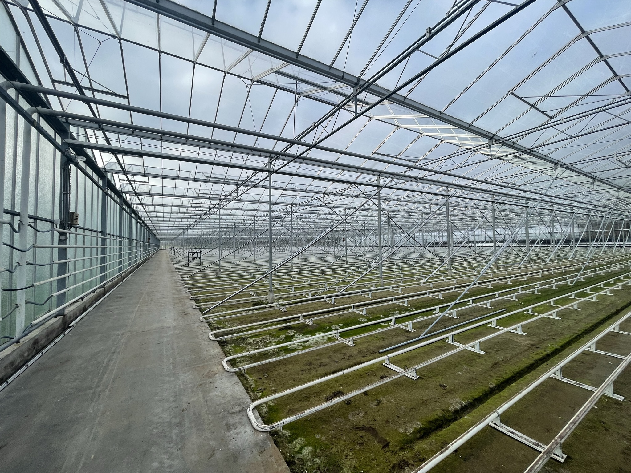 Venlo kas 8,00 m 19.008 m²