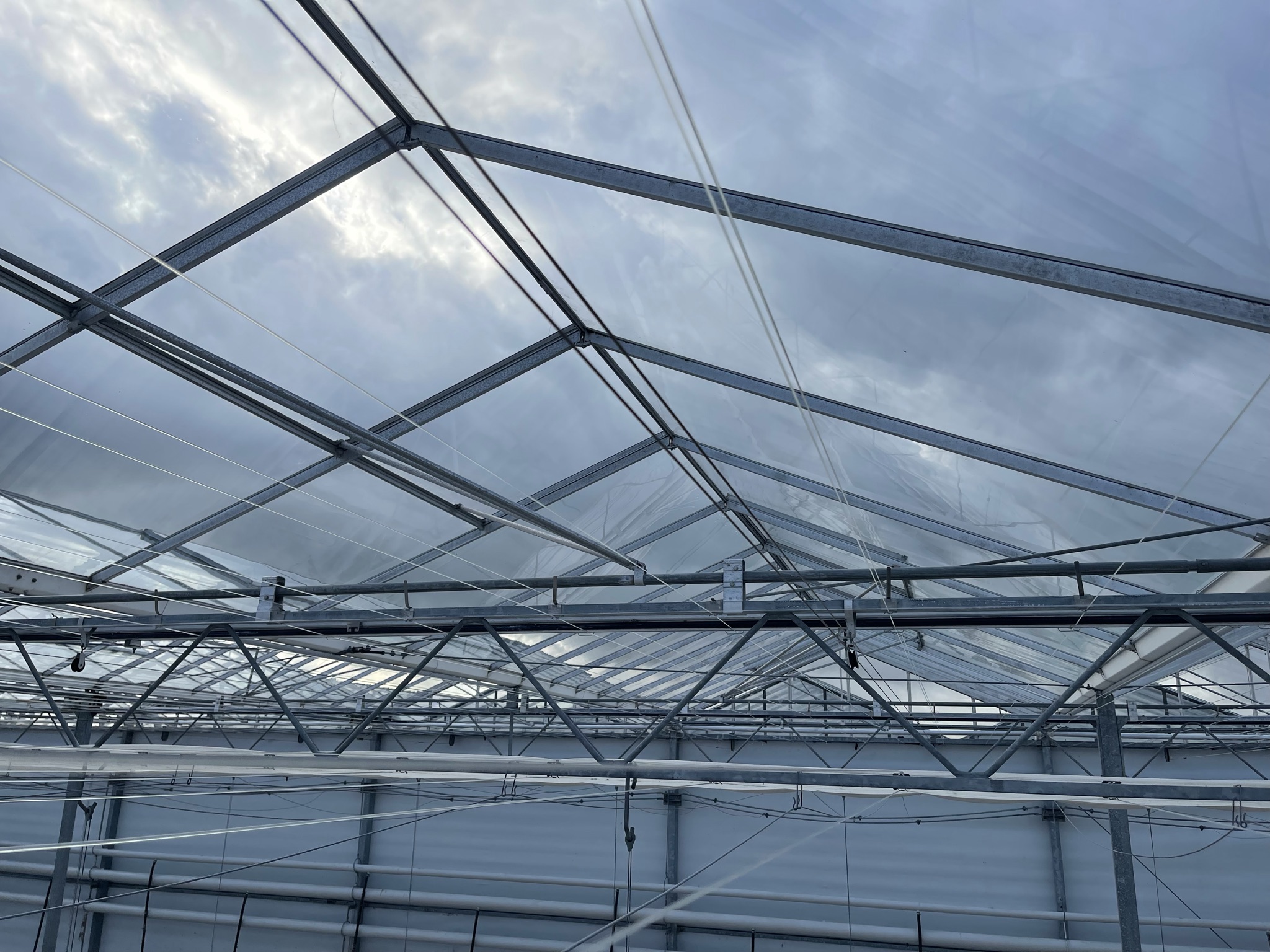 Venlo greenhouse 8,00 m 9.936 m²