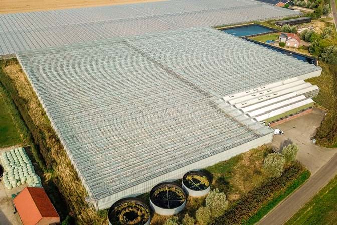 Complete turn-key Venlo greenhouse 18.980 m²