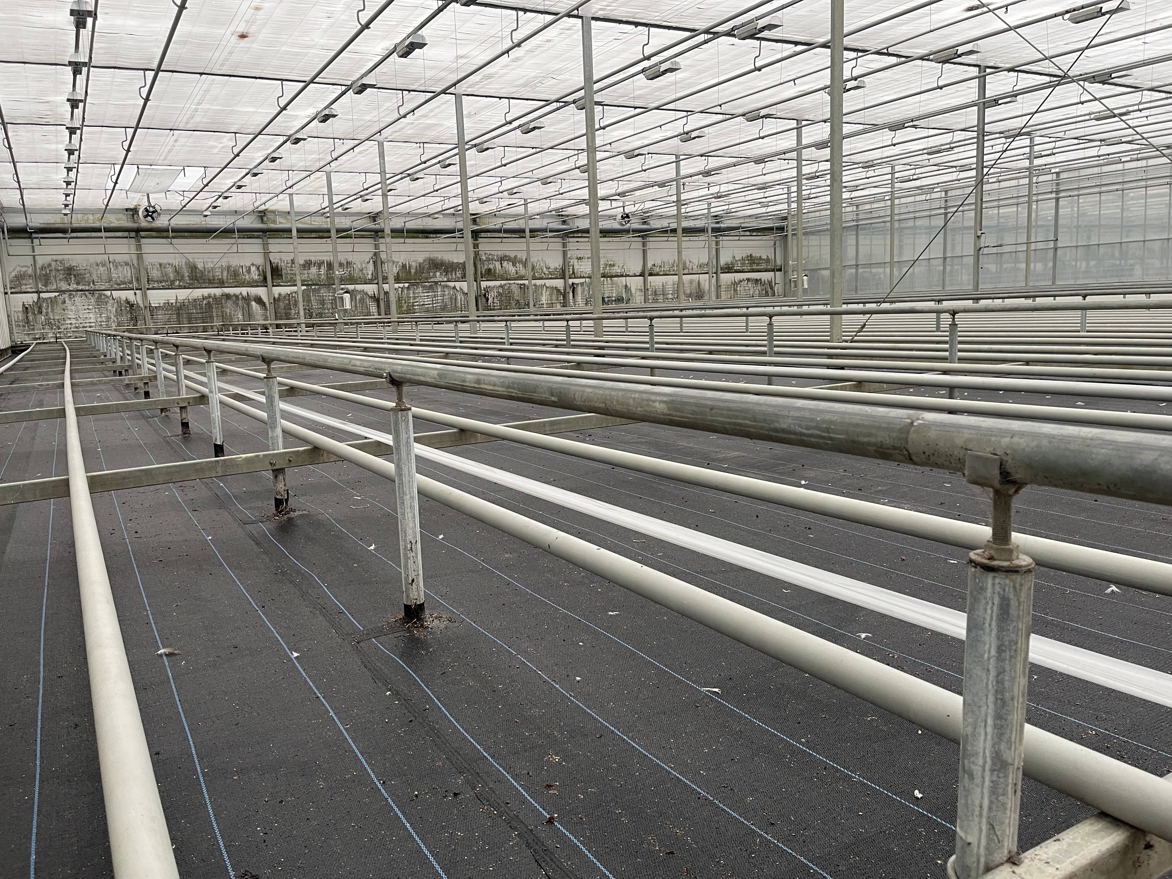 Heating pipes 51 mm galvanized