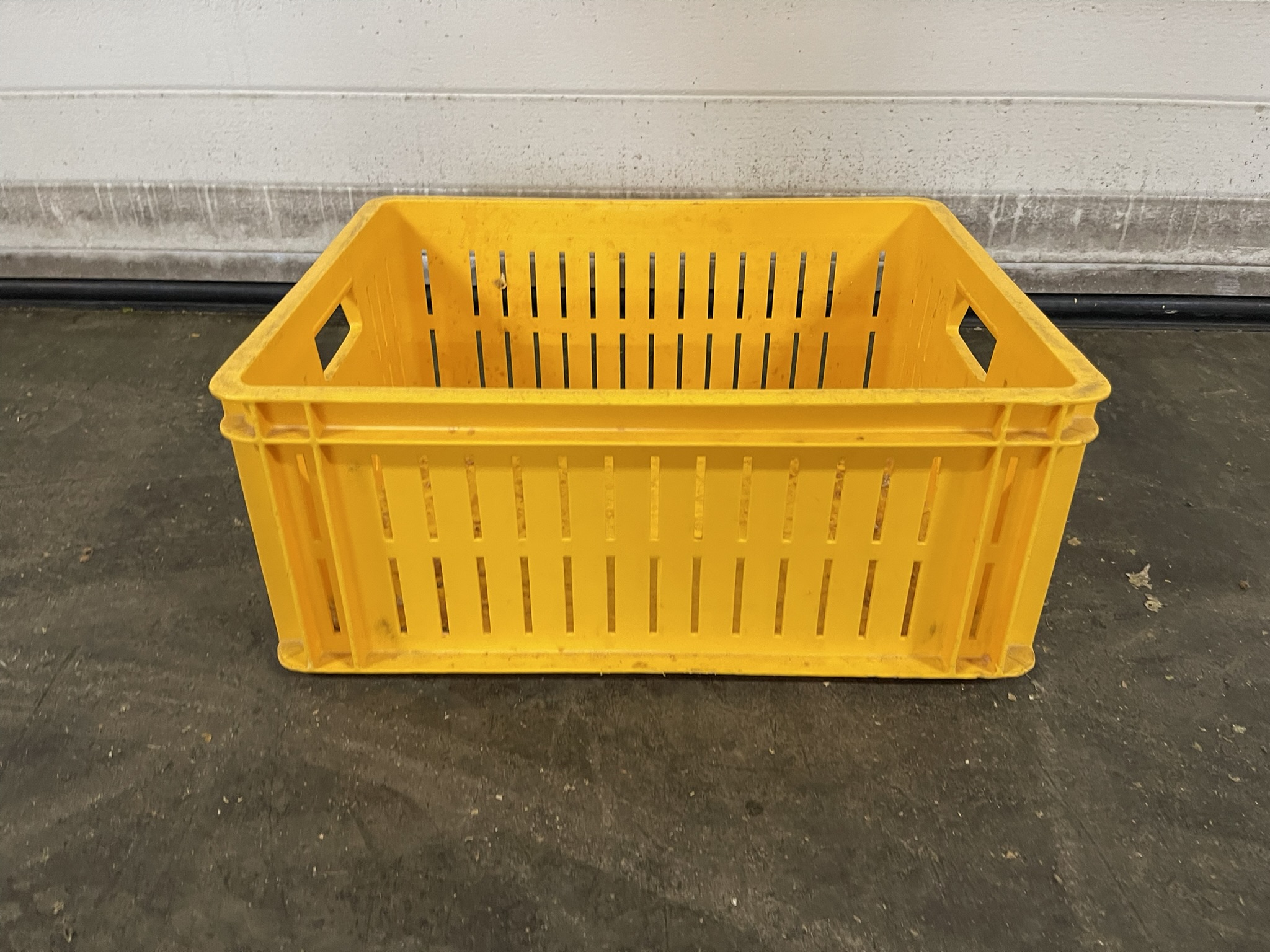 Cucumber harvest boxes