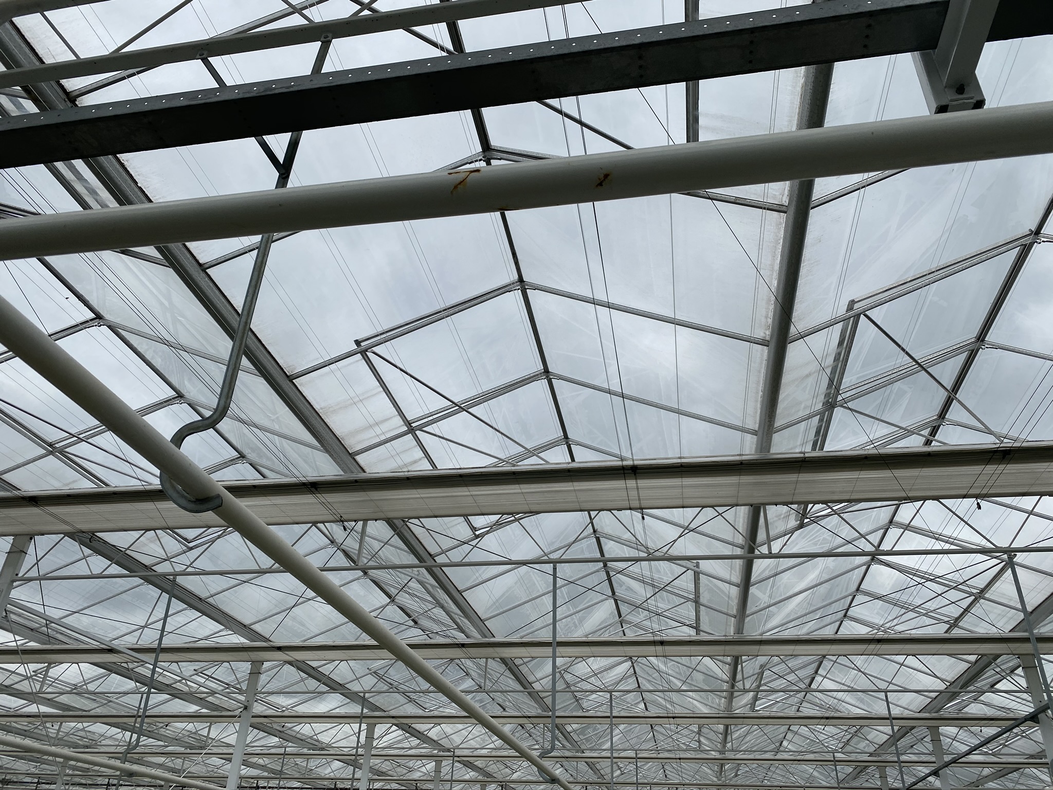 Venlo kas 9,60 m 11.124 m²