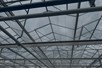 Venlo greenhouse 9,60 m 11.124 m²