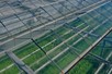 Venlo greenhouse 6,40m 11.251 m²