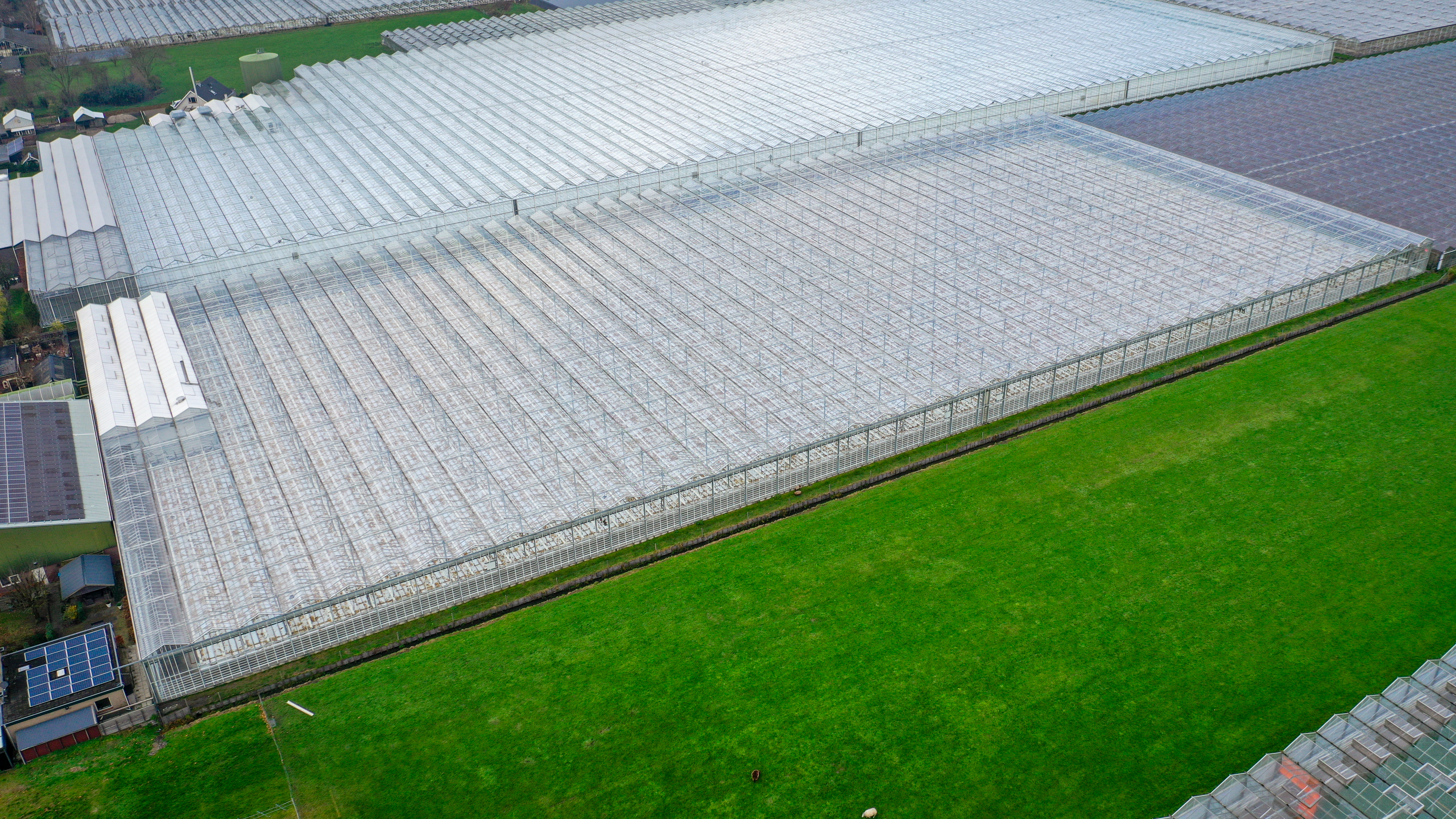 Venlo greenhouse 8,00 m 14.464 m²