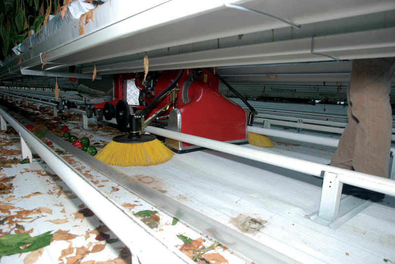 Verhagen borstelbladzuiger 13 pk