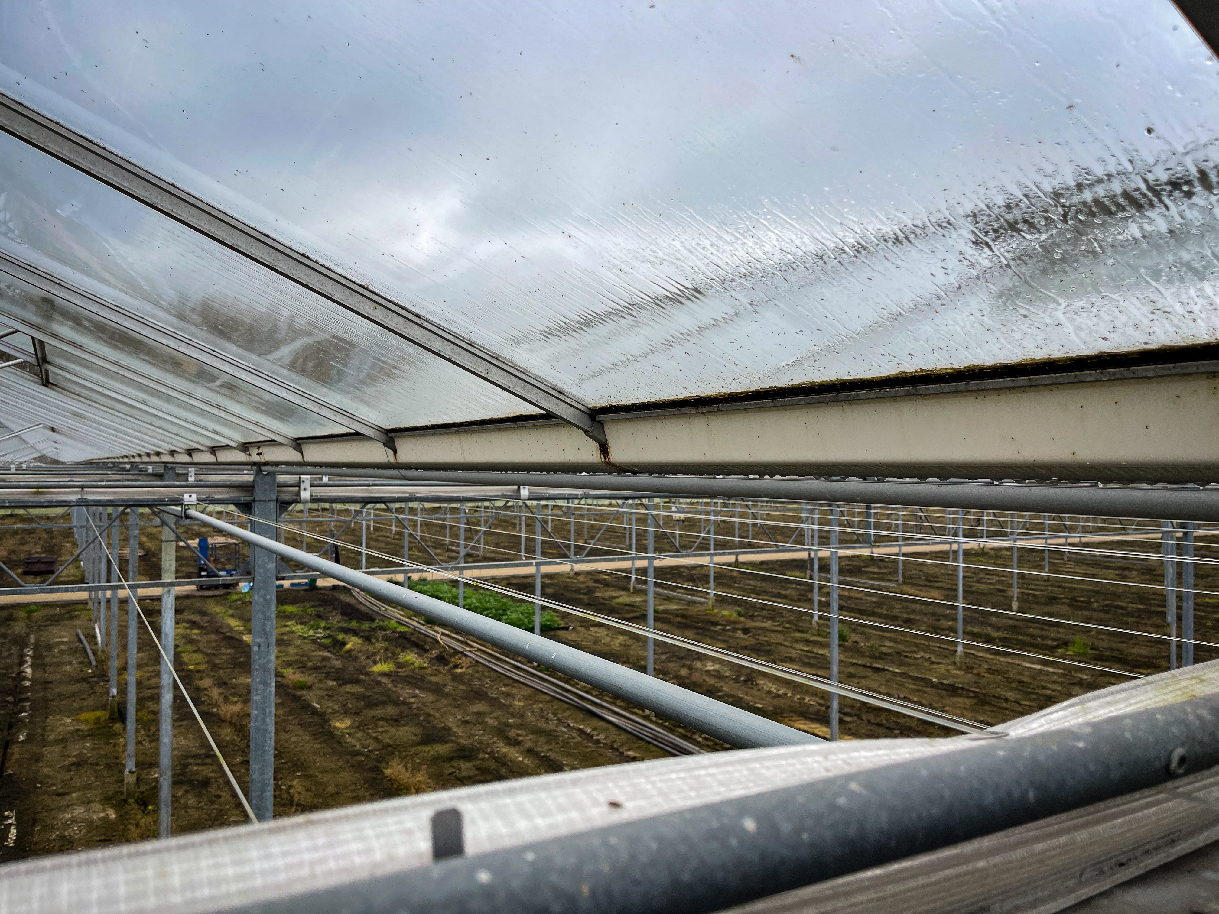 Venlo kas 8,00 m 15.300 m²