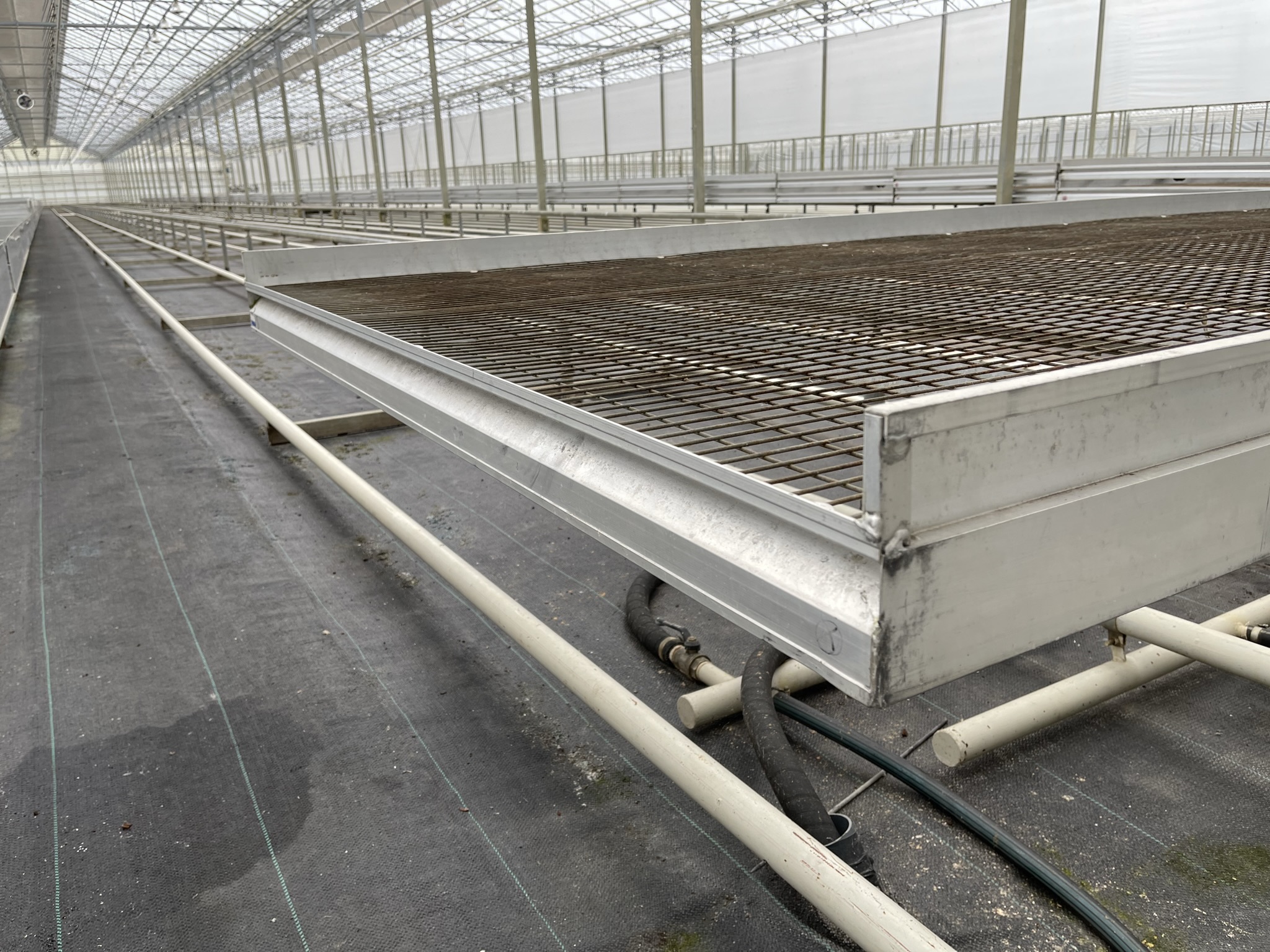 Aluminium rolcontainers met gaasbodem