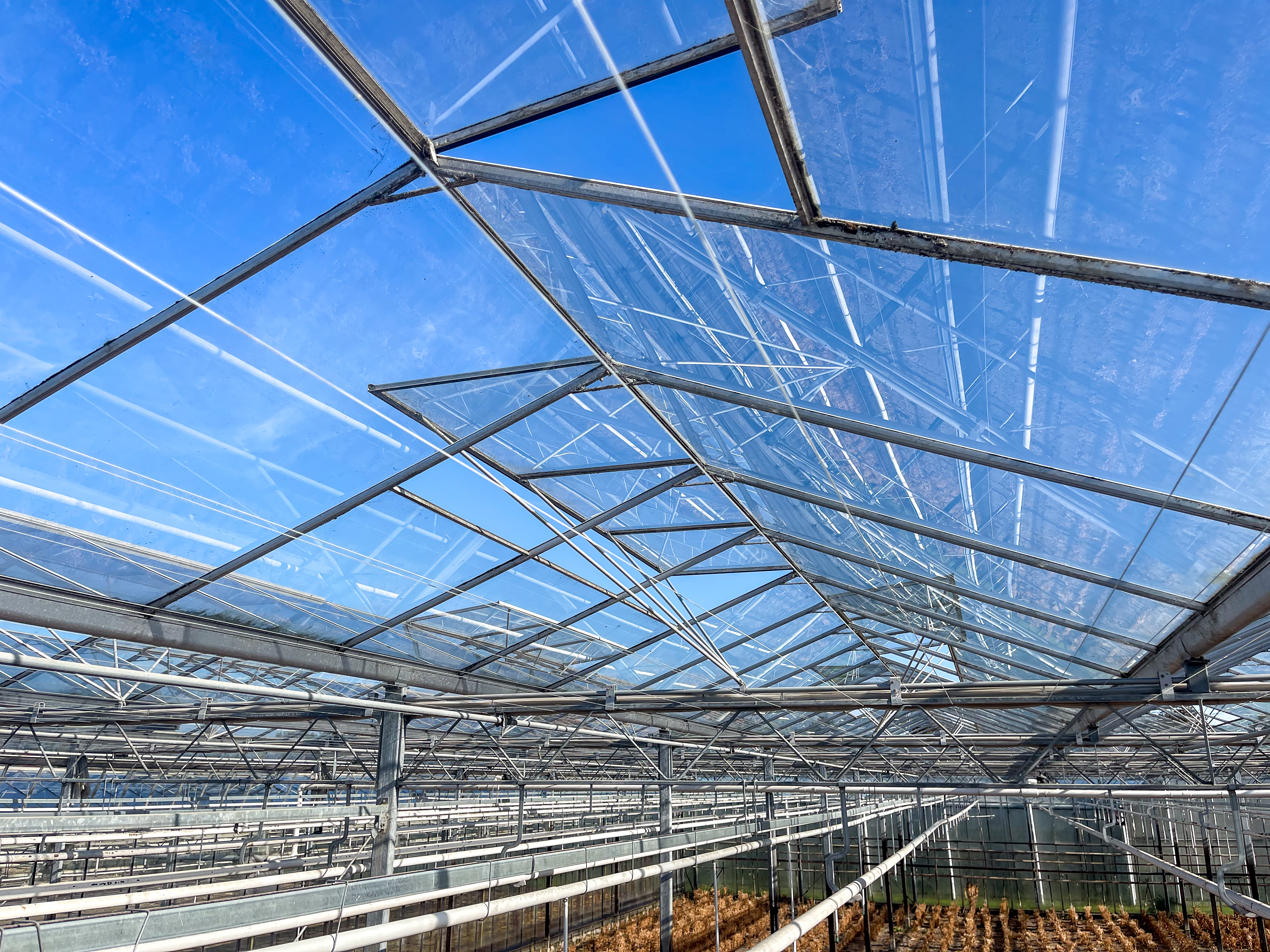 Venlo kas 8,00 m 3.680 m²