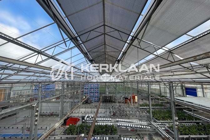 Widespan greenhouse 12,80 m 4.953 m²
