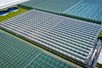 Venlo greenhouses 8,00 m 9.792 m²