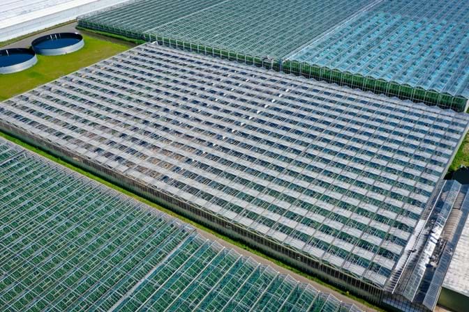 Venlo greenhouses 8,00 m 9.792 m²