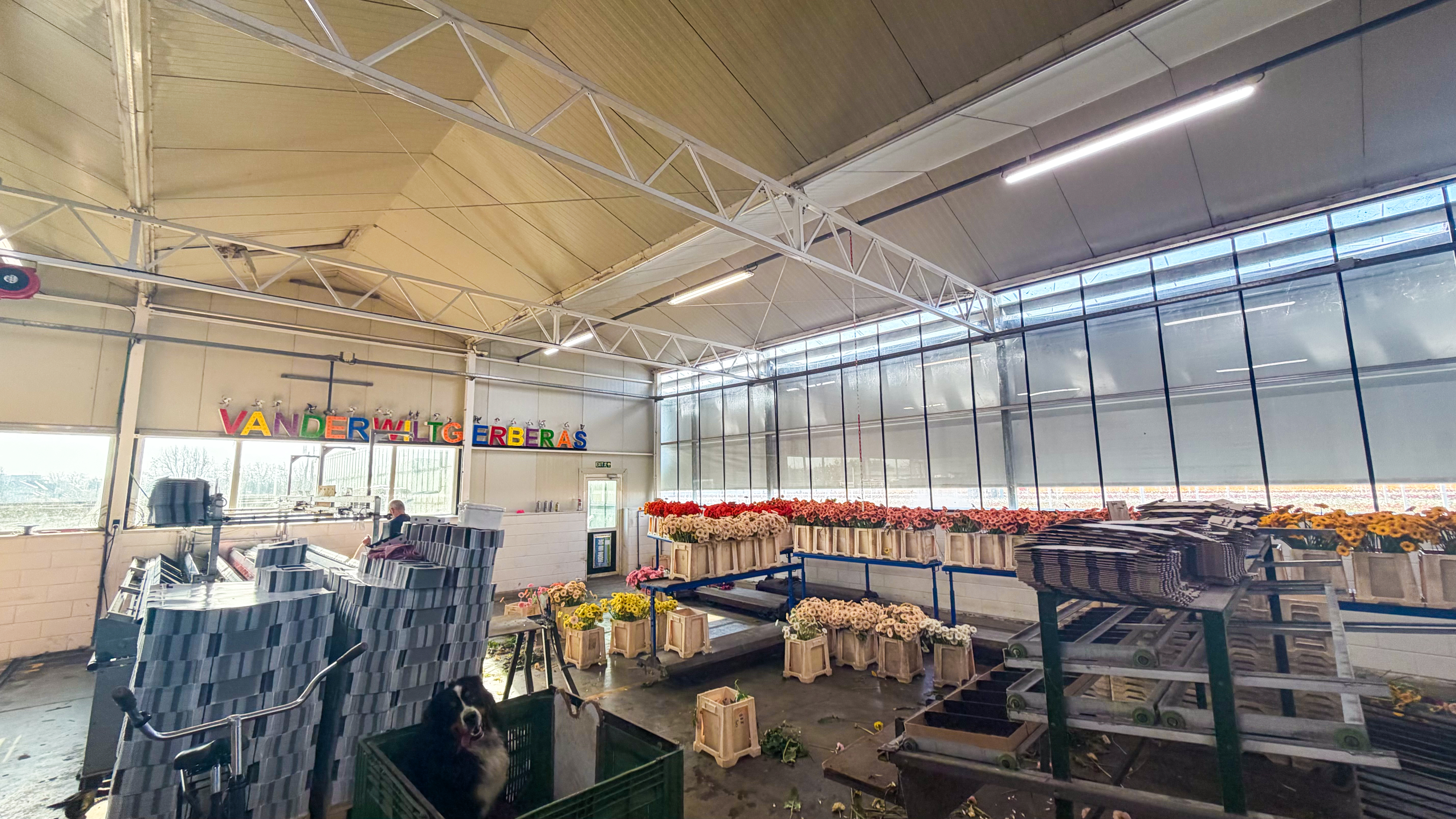 Business space 748 m²