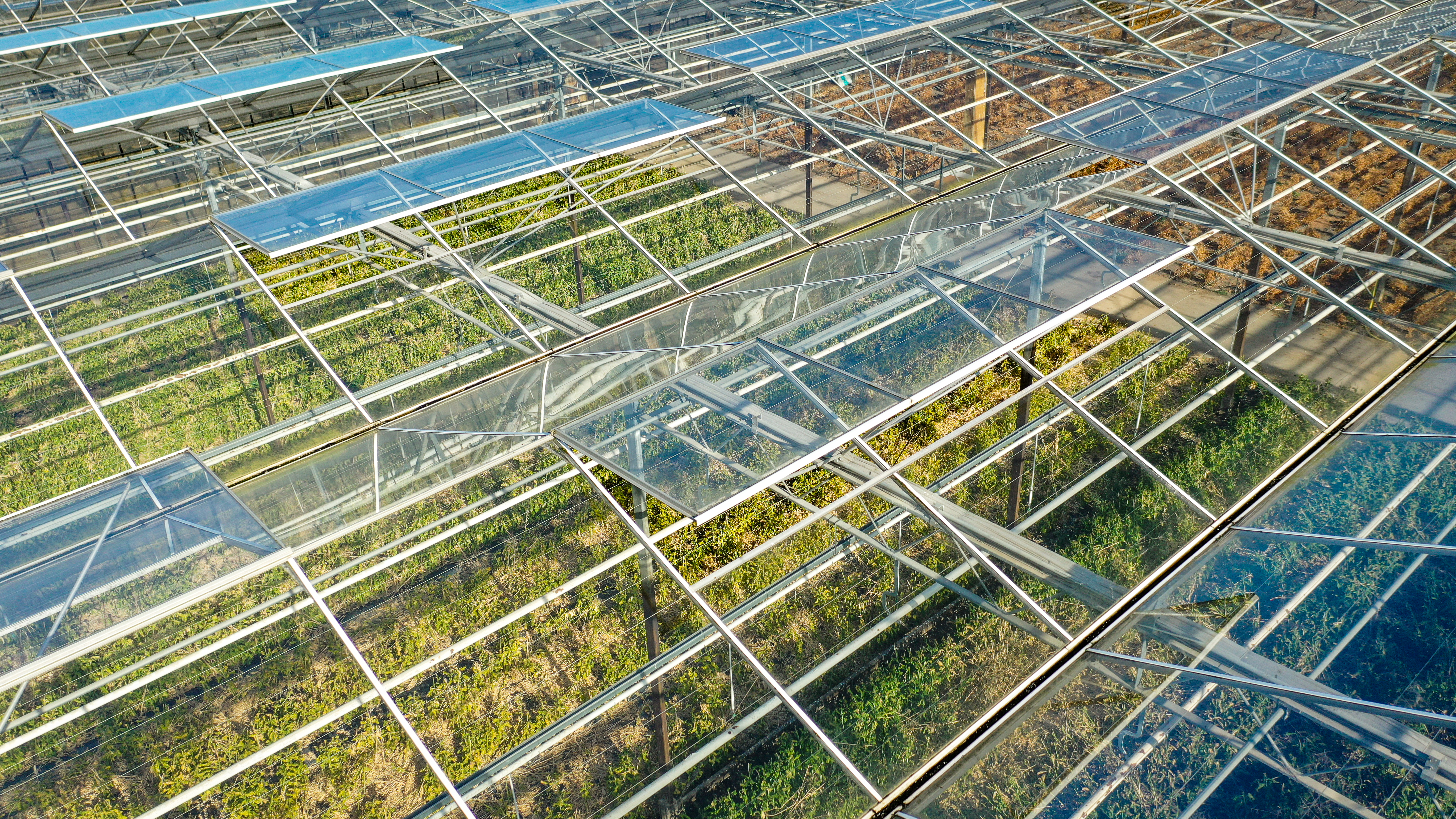 Venlo kas 8,00 m 3.680 m²