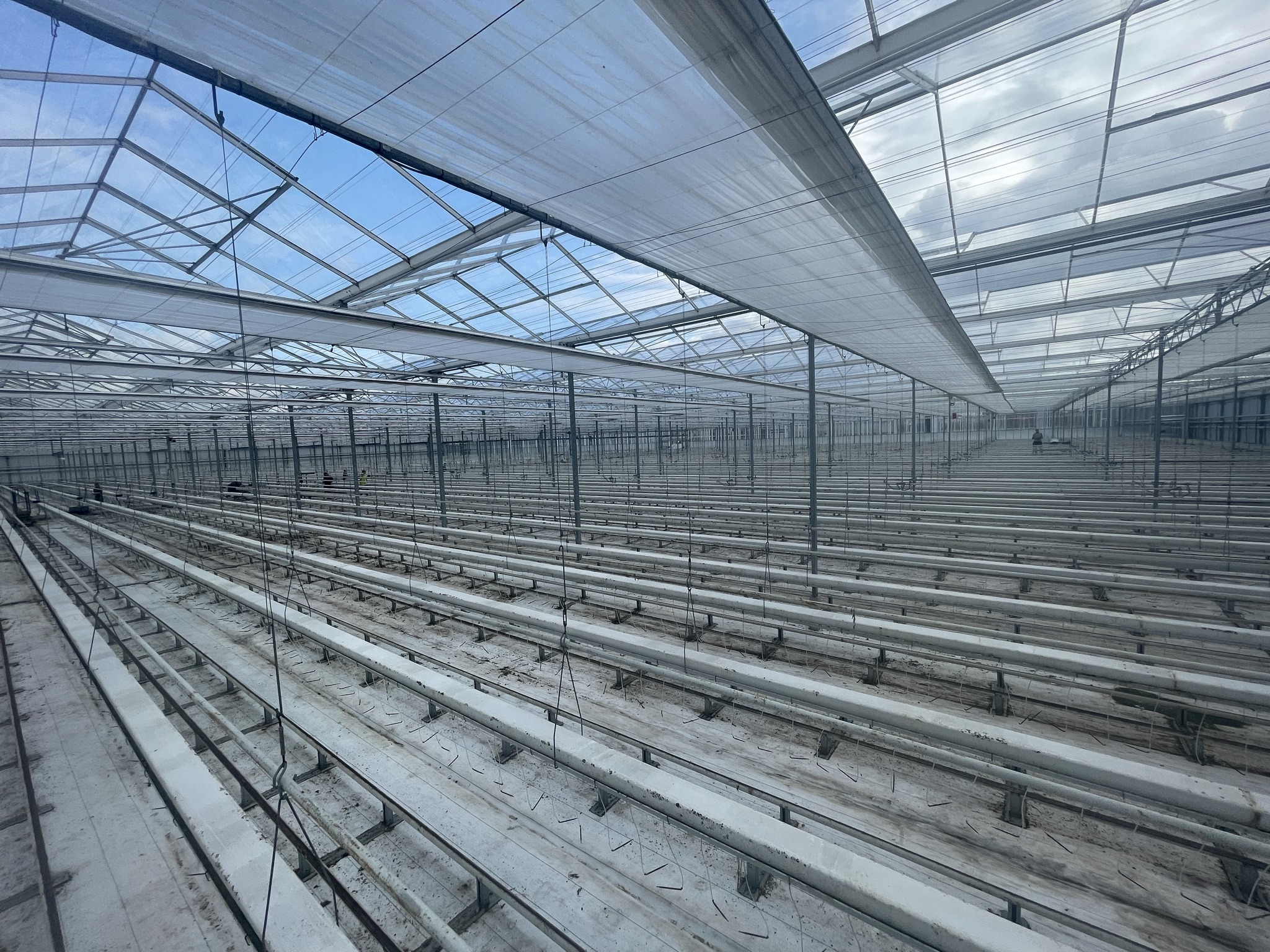 Venlo greenhouse 8,00 m 9.936 m²