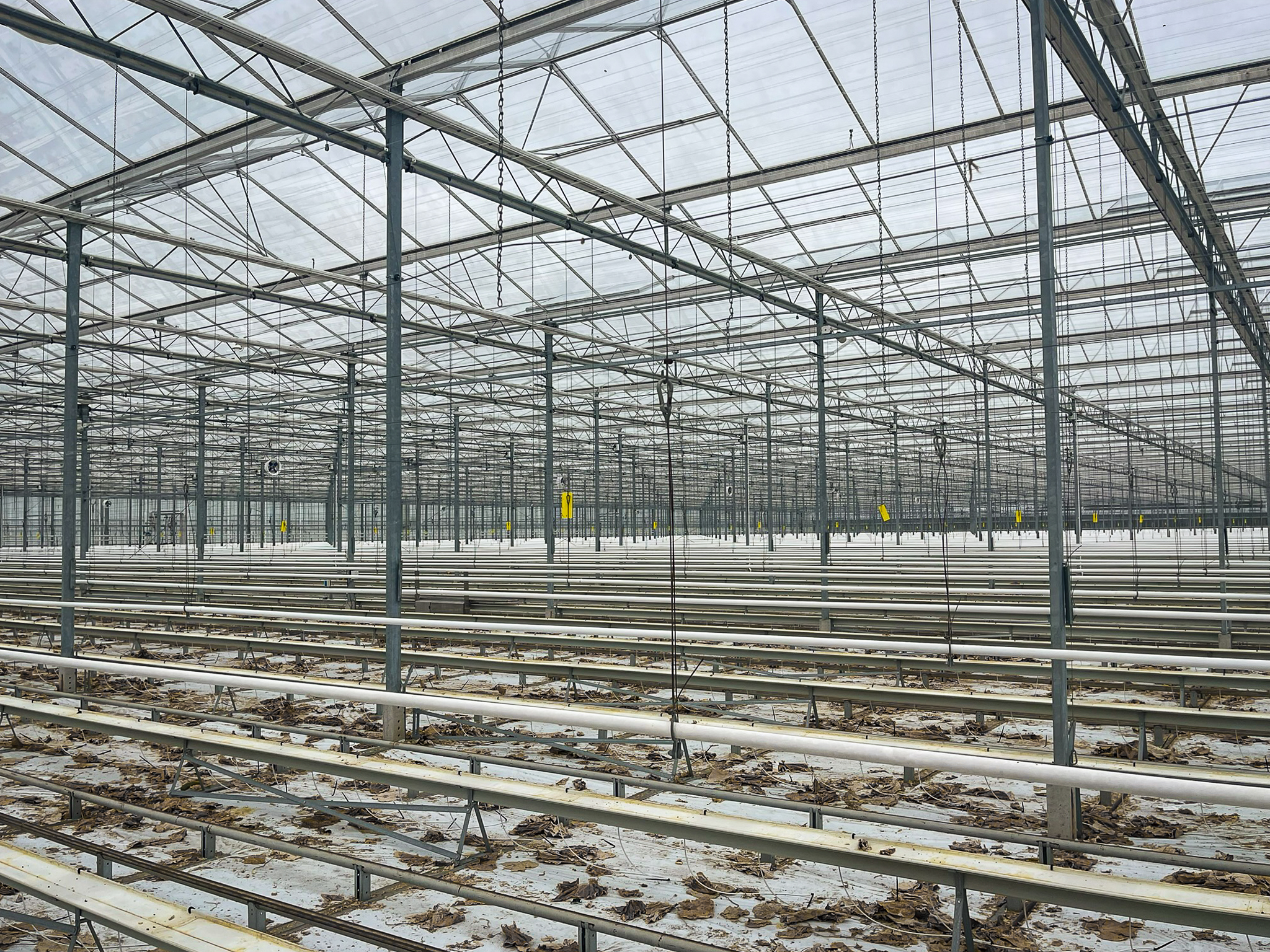 Venlo greenhouse 8,00 m 14.464 m²