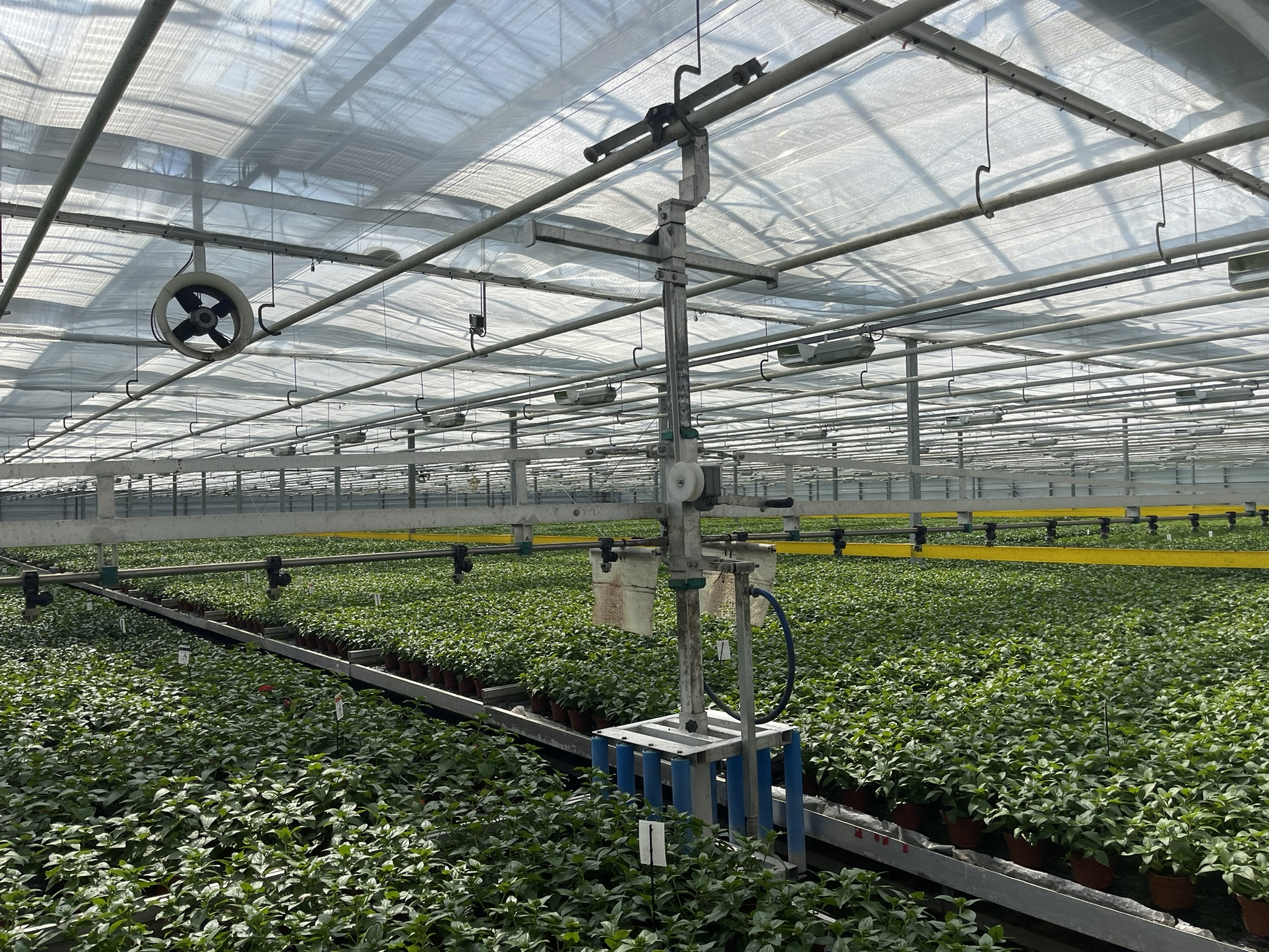 Spraying boom 12.80m incl. mother car