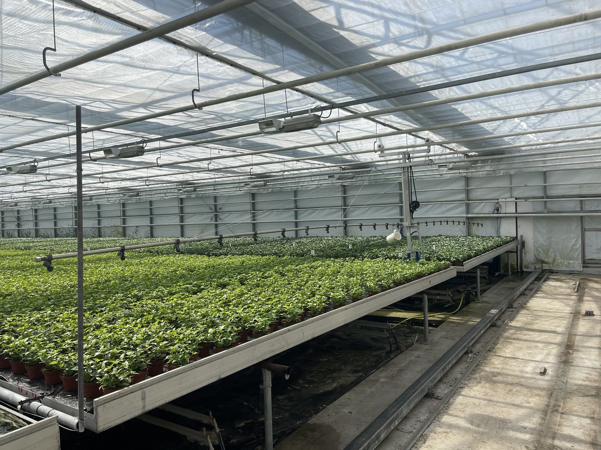 Spraying boom 12.80m incl. mother car