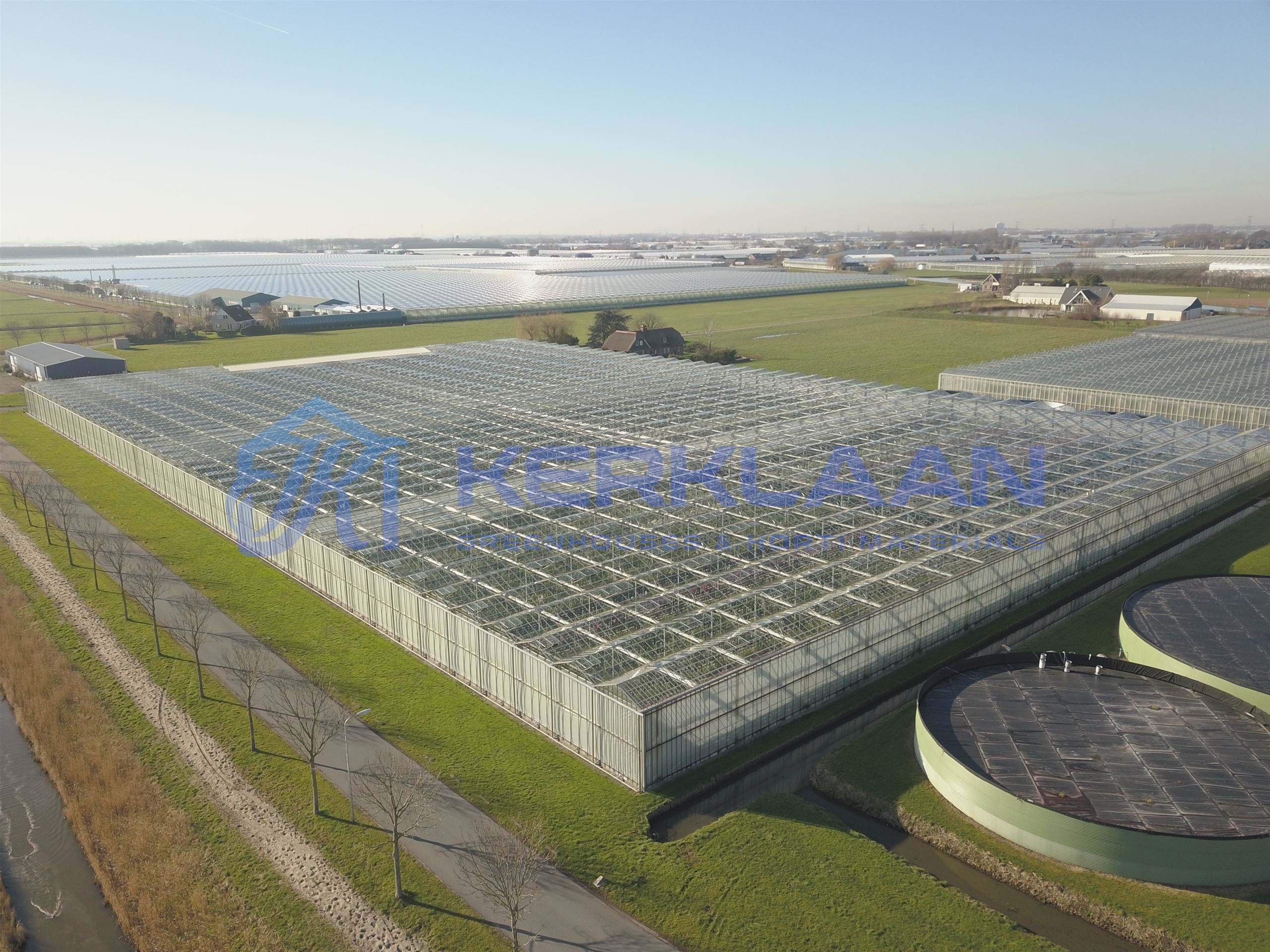 Venlo greenhouse 8,00 m 16.500 m²