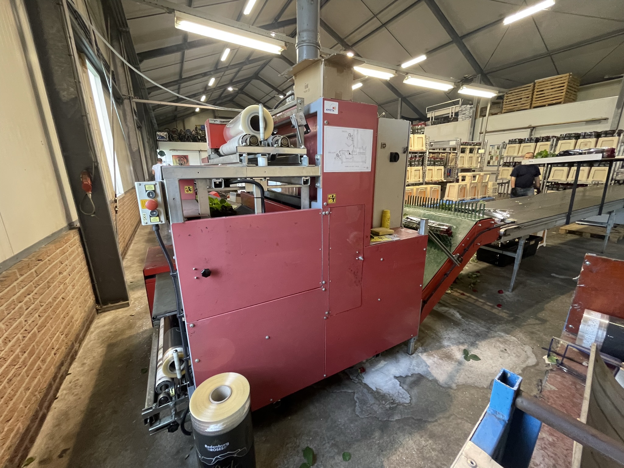 Aweta rozensorteermachine incl. IRISS sorteer systeem & sealer