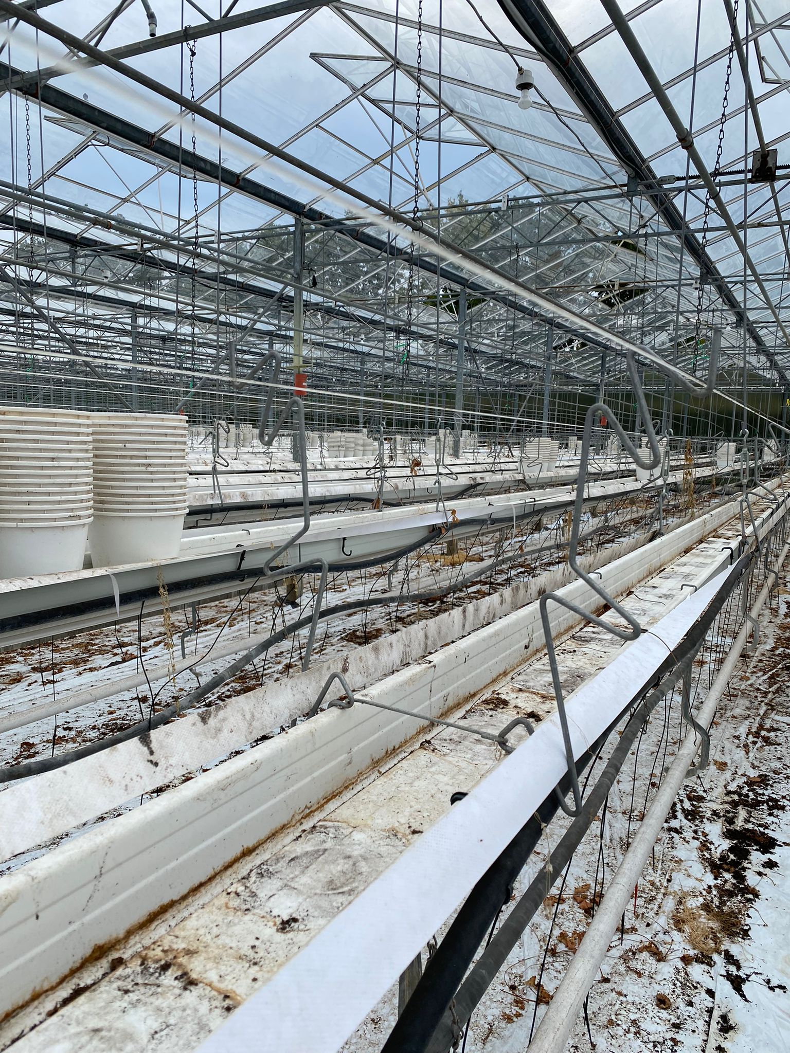 Compleet aardbeien teeltsysteem