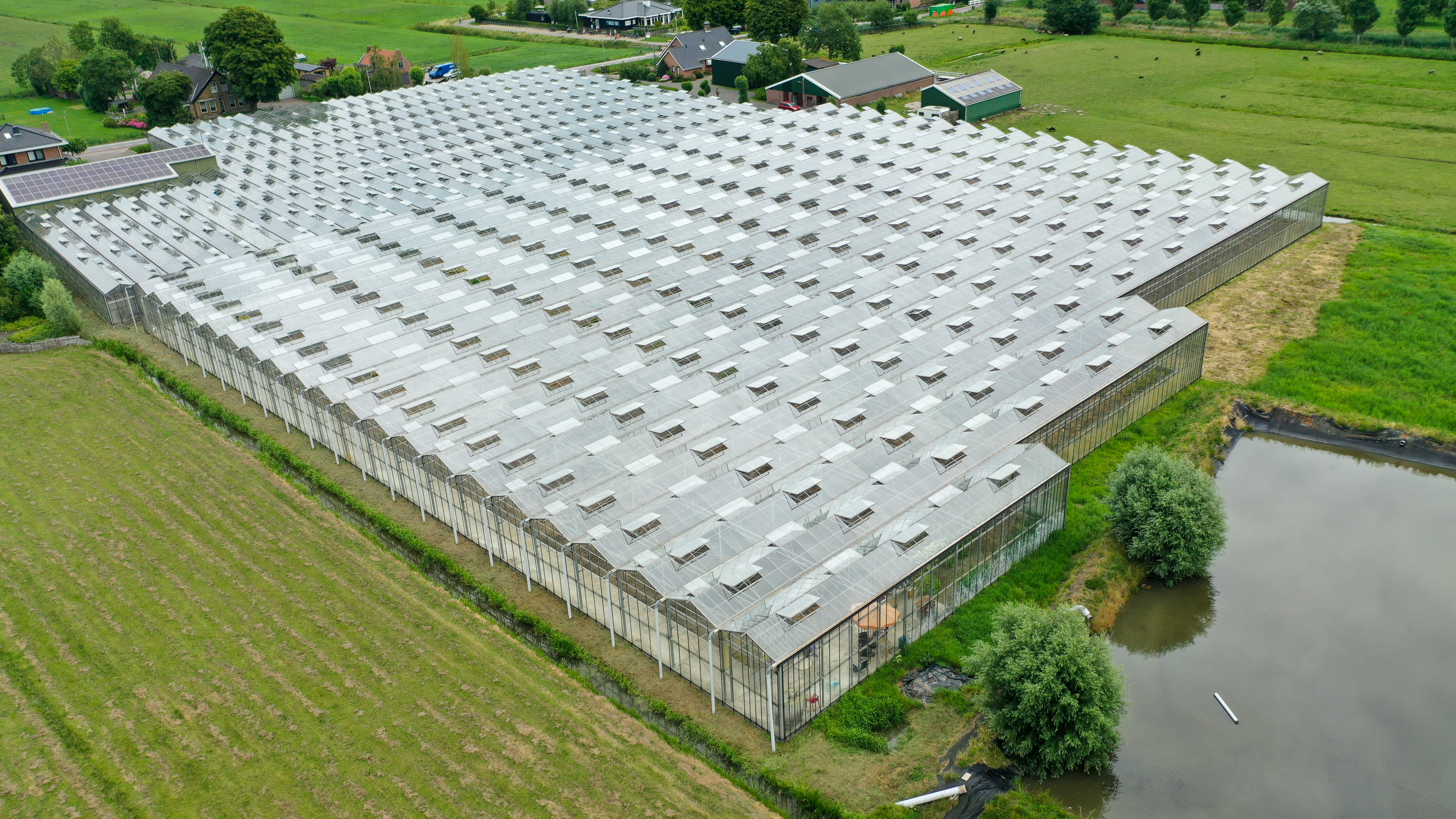 Venlo greenhouse 8,00 m 7.506 m²