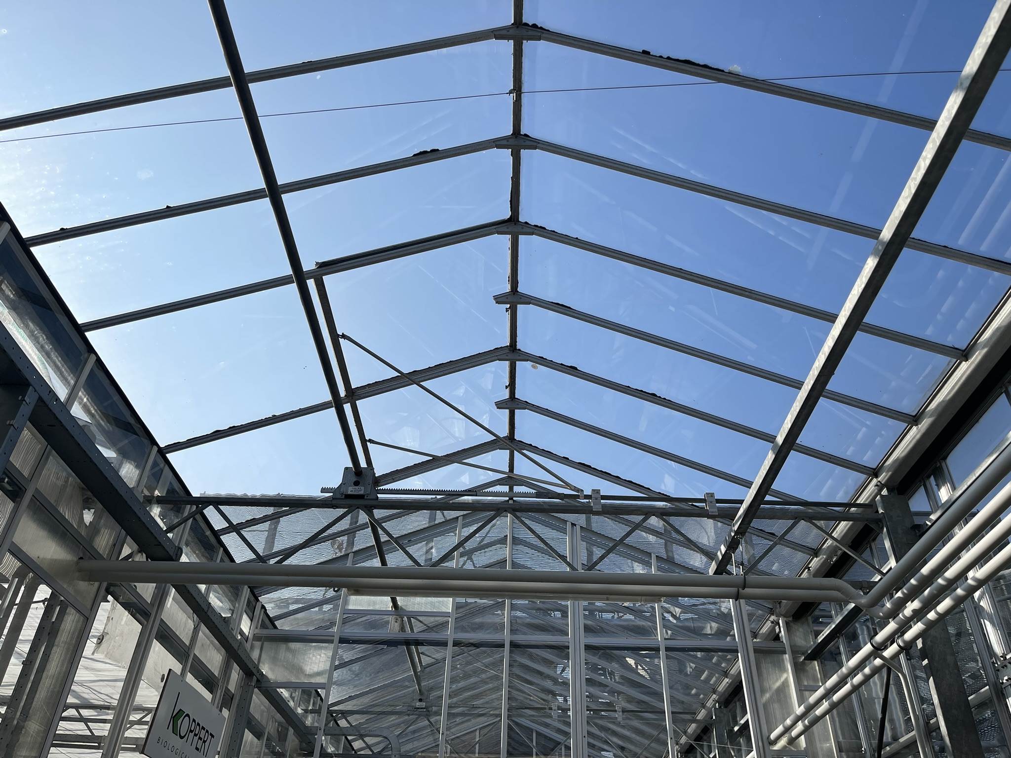 Complete turnkey test greenhouse 240 m²