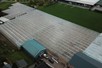 Venlo greenhouse 6,40 m 4.955 m²