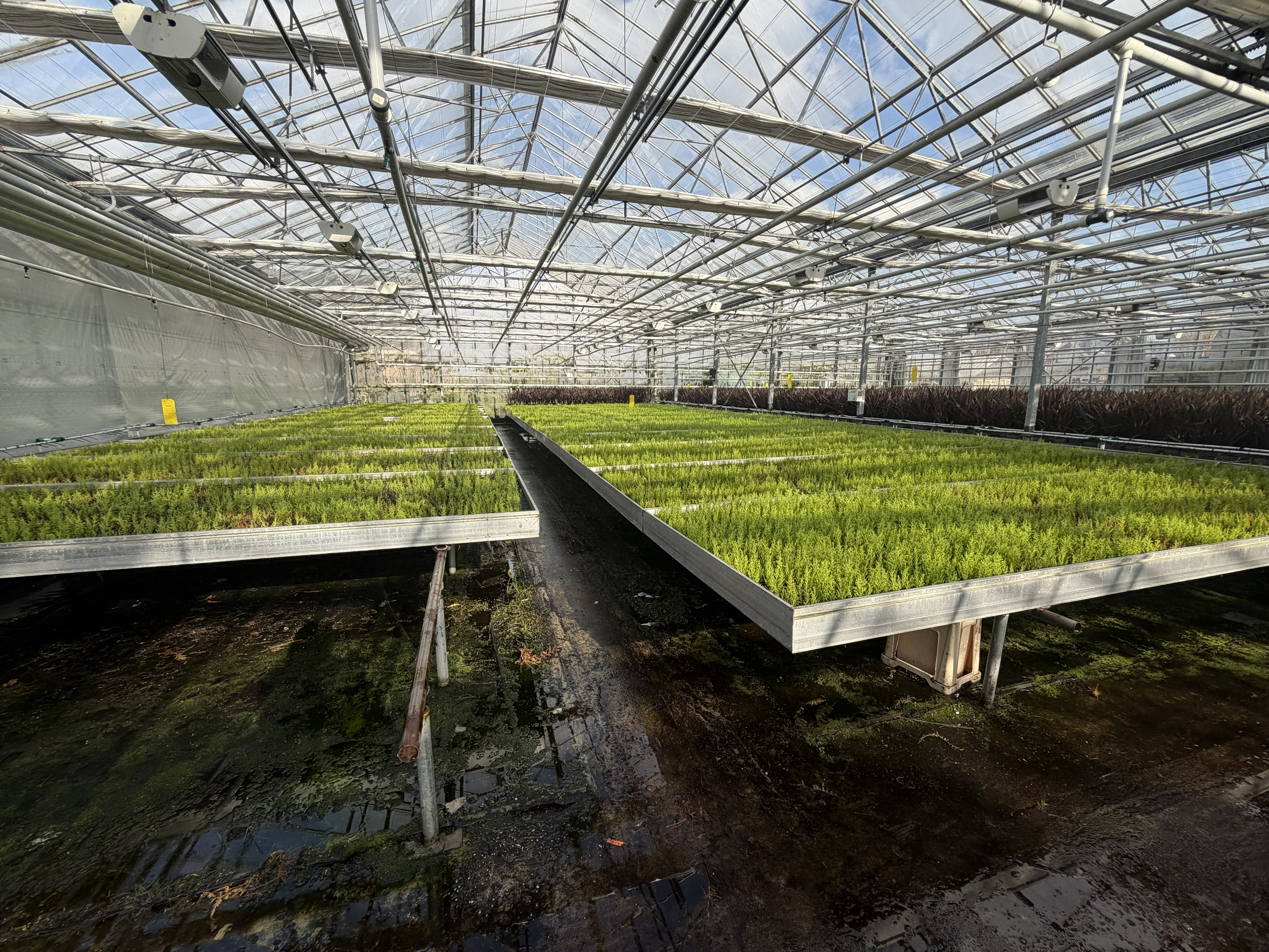 Aluminium rolcontainers met eb- en vloed bodem