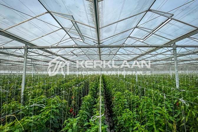 Venlo greenhouse 8,00 m 26.663 m²