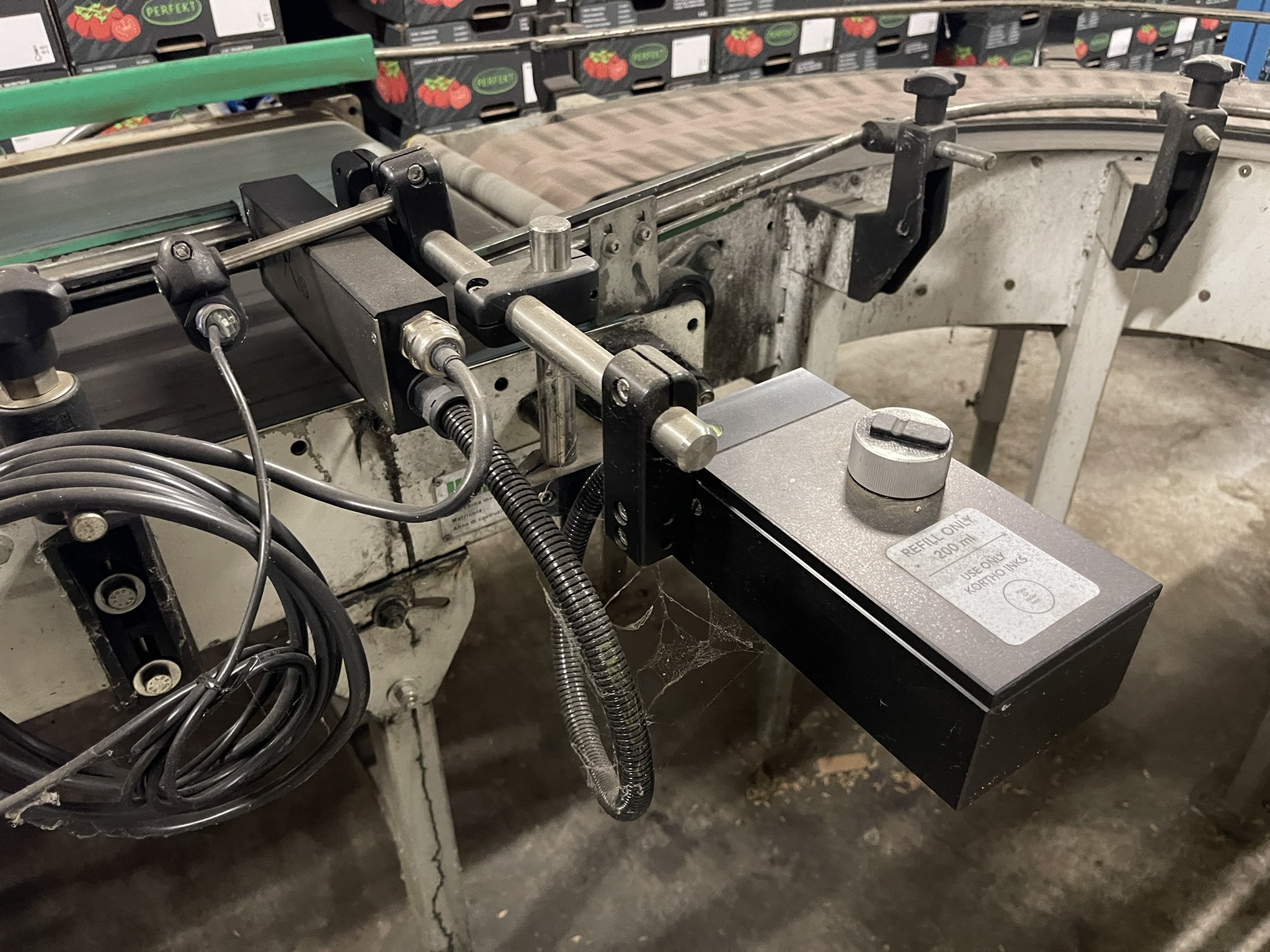 Complete Taks TTS vine tomato processing system