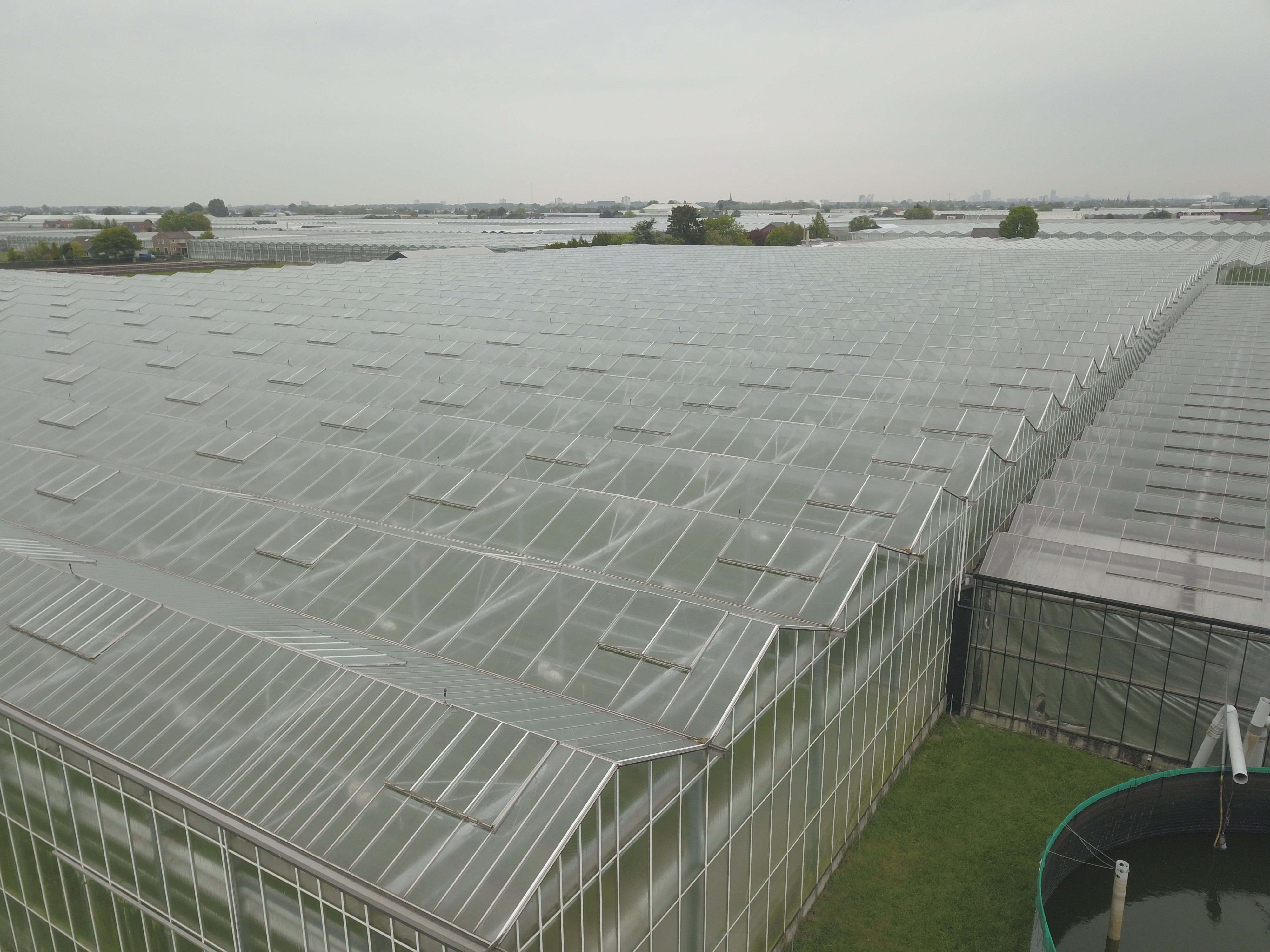Venlo greenhouse 9,60 m 14.985 m²