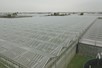 Venlo kas 9,60 m 14.985 m²