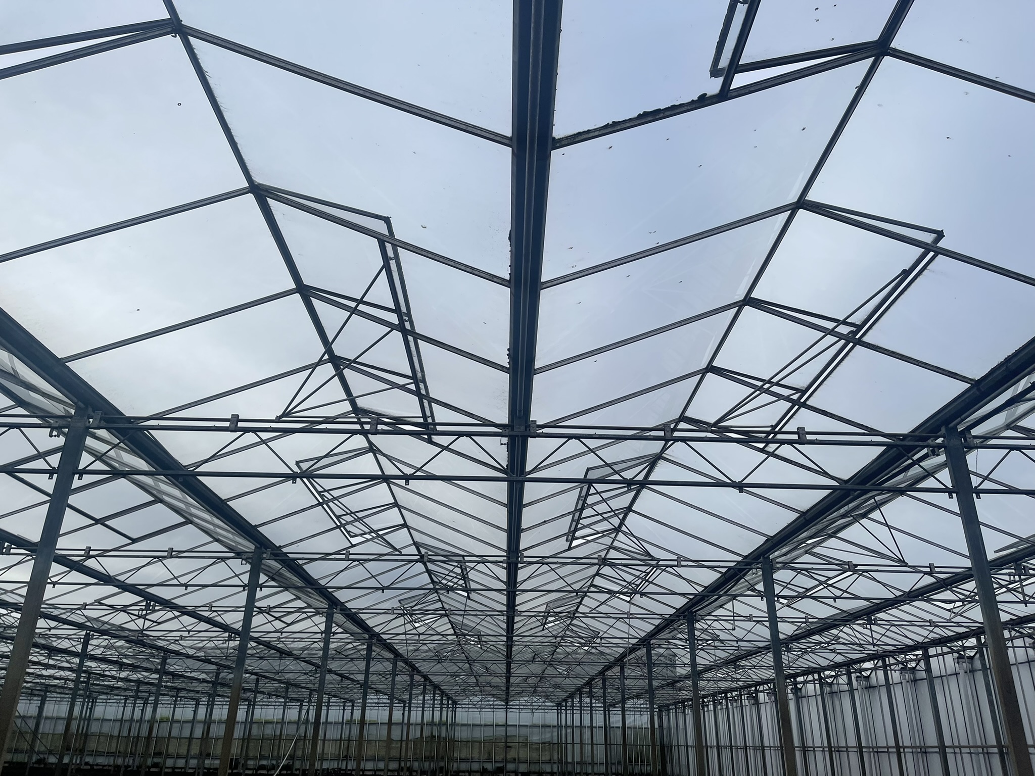 Venlo greenhouse 6,40 m 16.418 m²