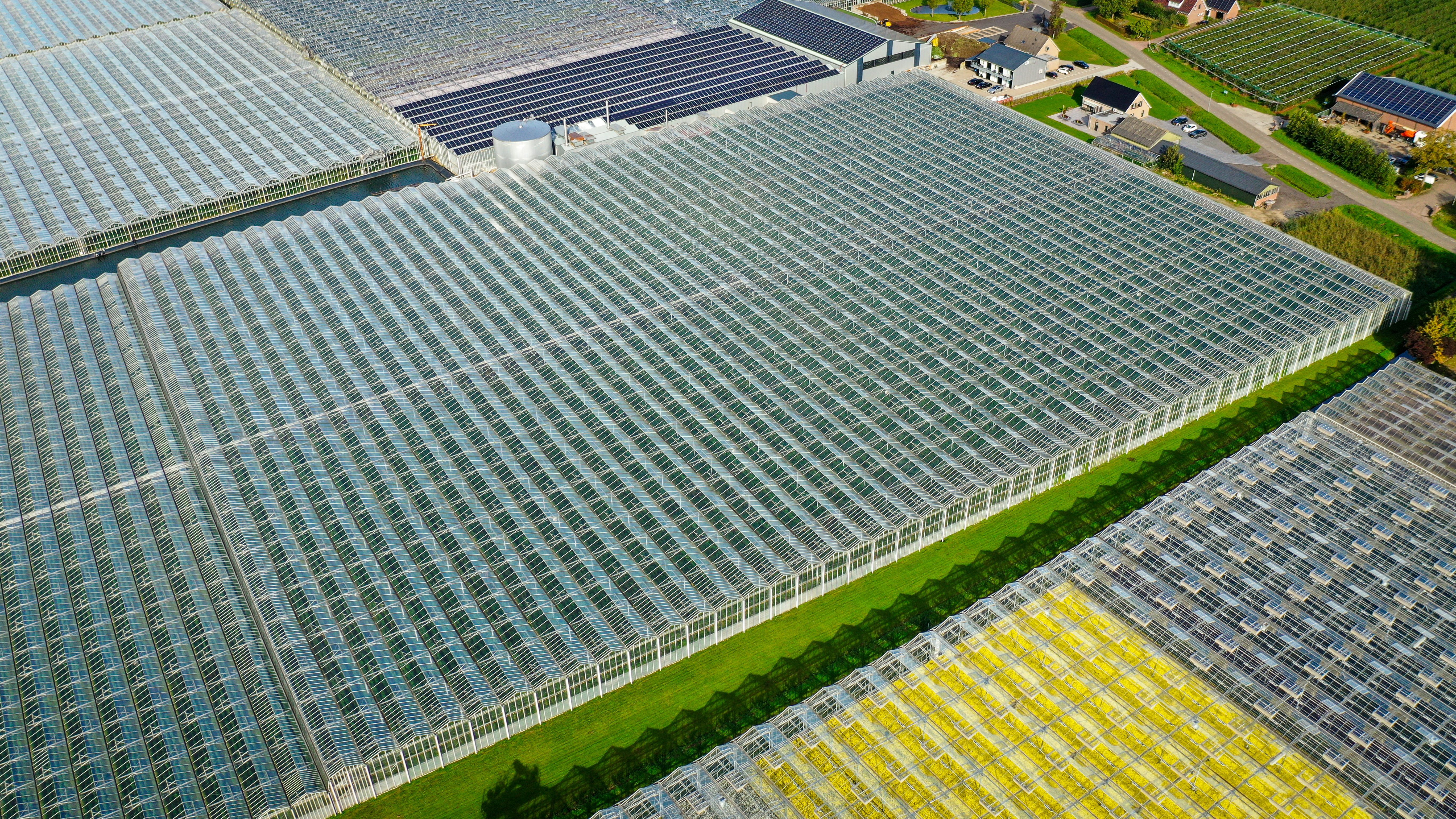 Venlo greenhouse 8,00 m 26.663 m²