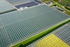 Venlo greenhouse 8,00 m 26.663 m²
