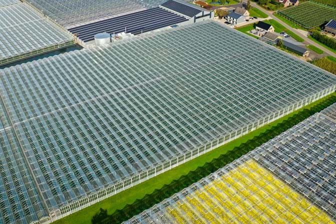 Venlo greenhouse 8,00 m 26.663 m²