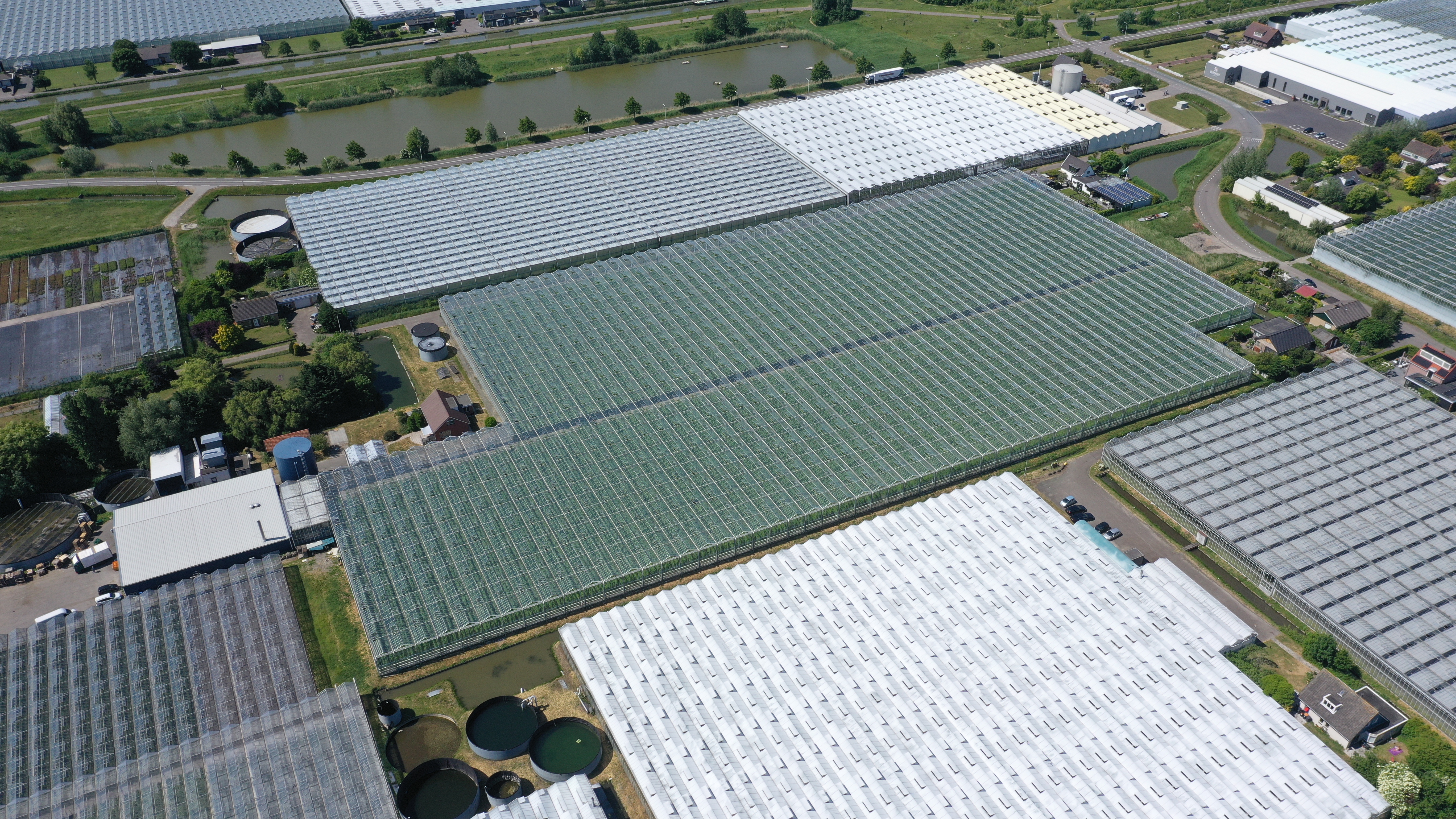 Venlo greenhouse 8,00 m 25.922 m²