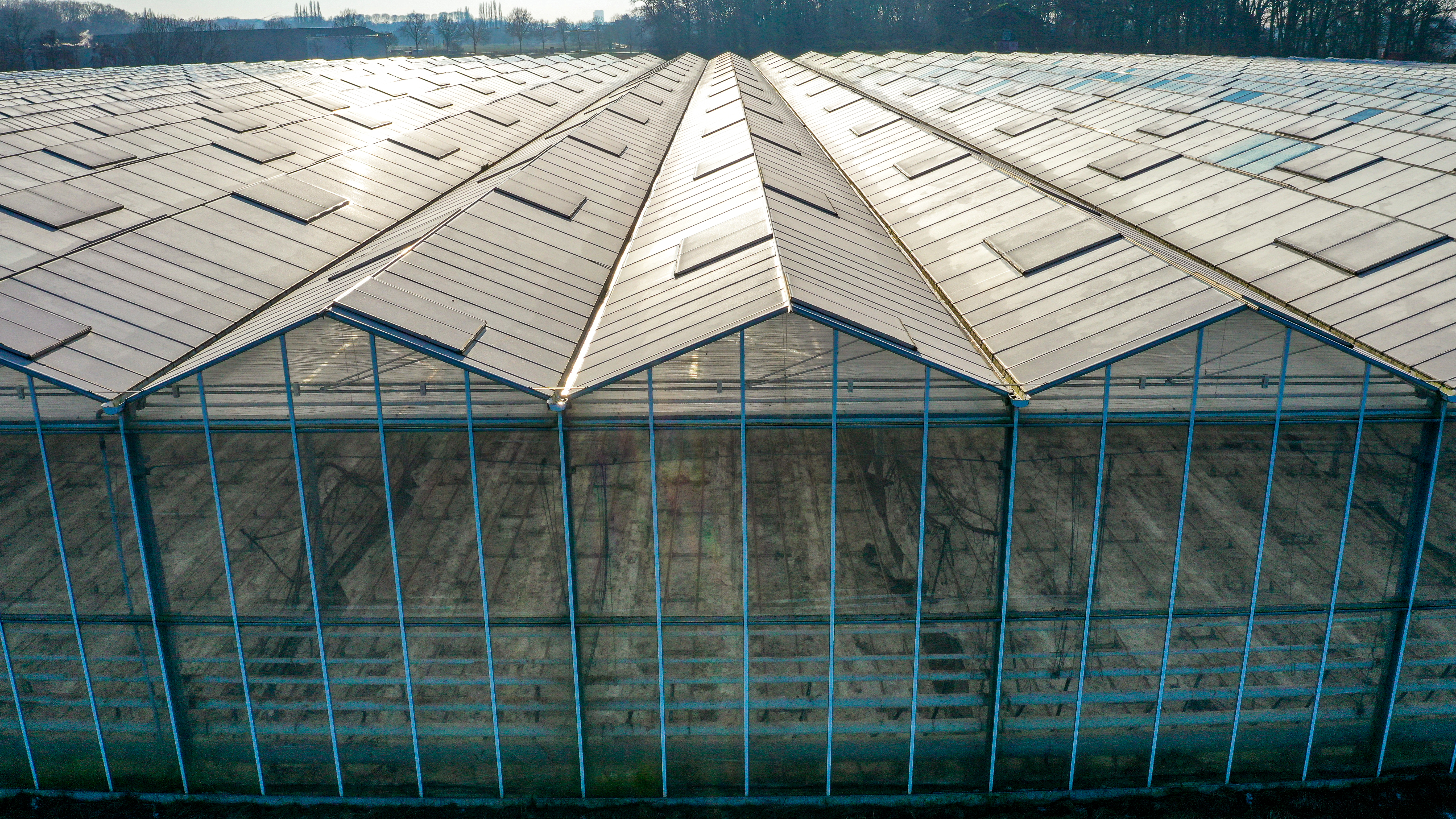 Venlo kas 8,00 m 22.248 m²