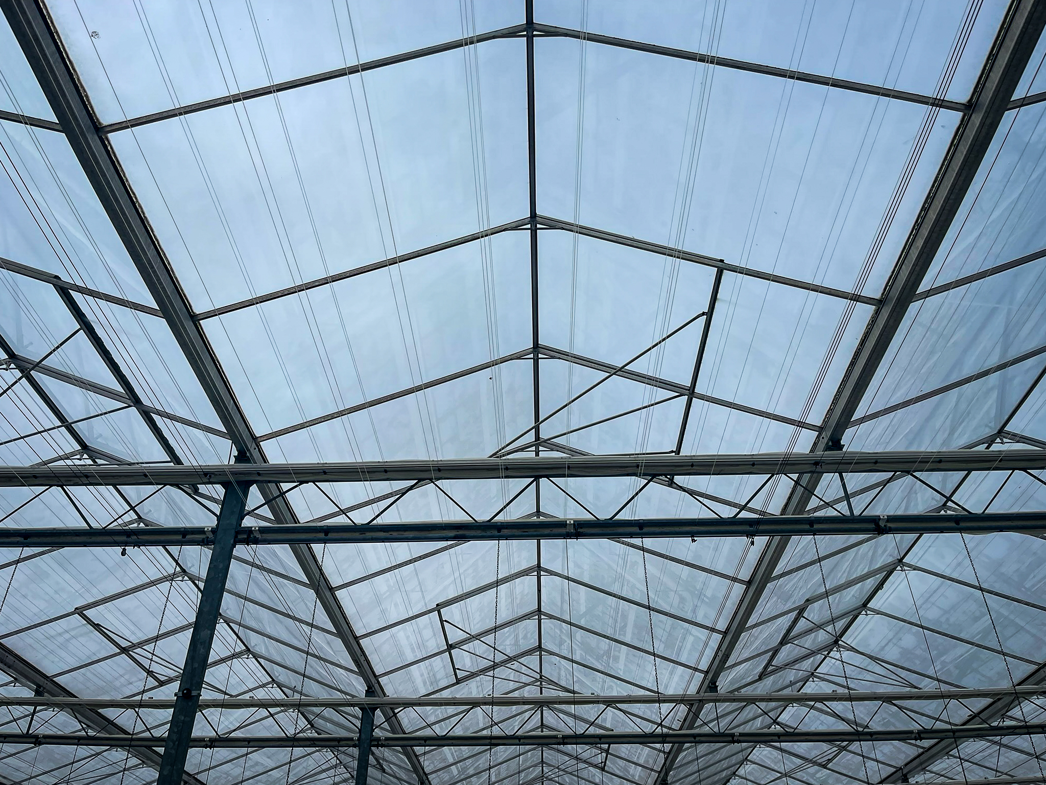 Venlo greenhouse 8,00 m 14.464 m²