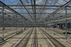 Venlo greenhouse 6,40 m 6.988 m²
