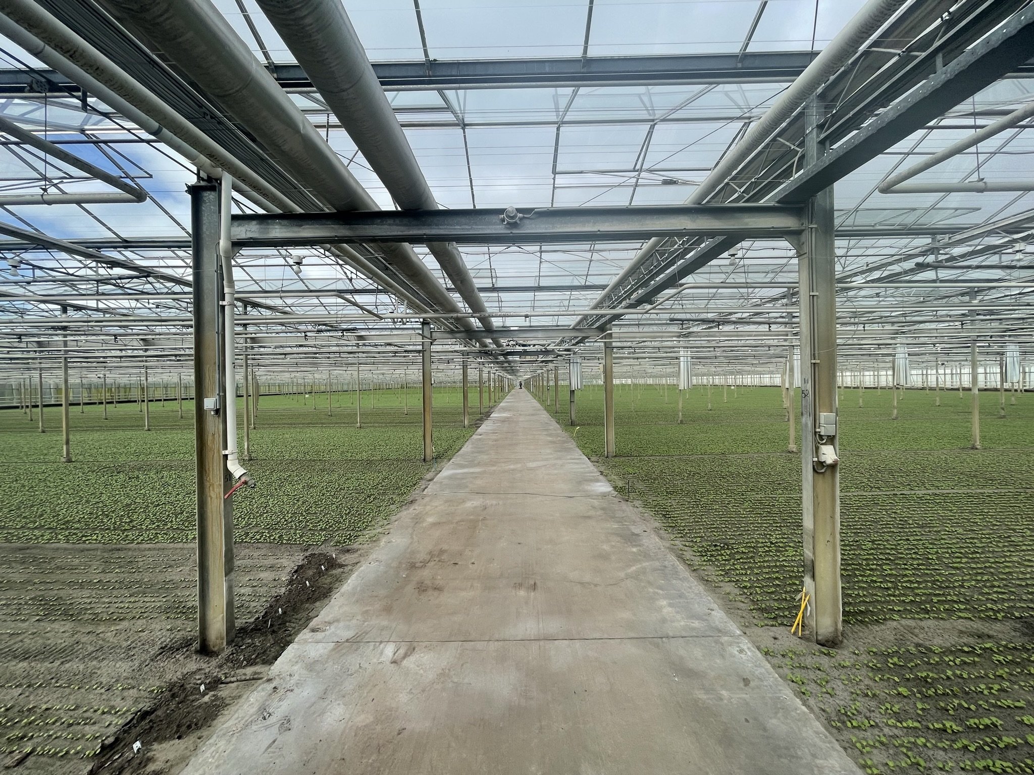 Venlo kas 6,40 m 18.841 m²