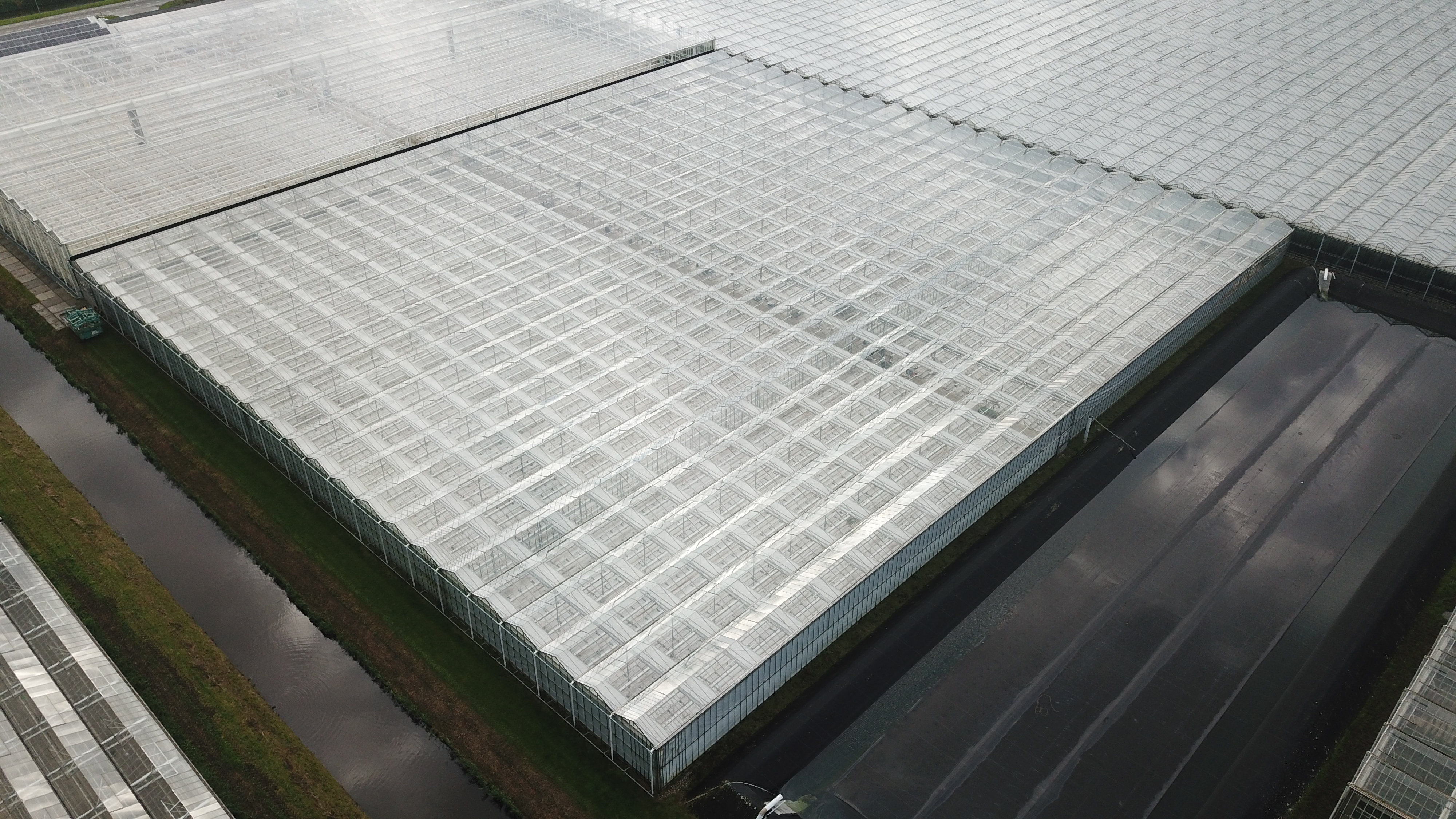 Venlo greenhouse 8,00 m 9.936 m²