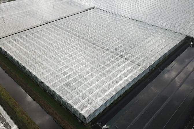 Venlo greenhouse 8,00 m 9.936 m²