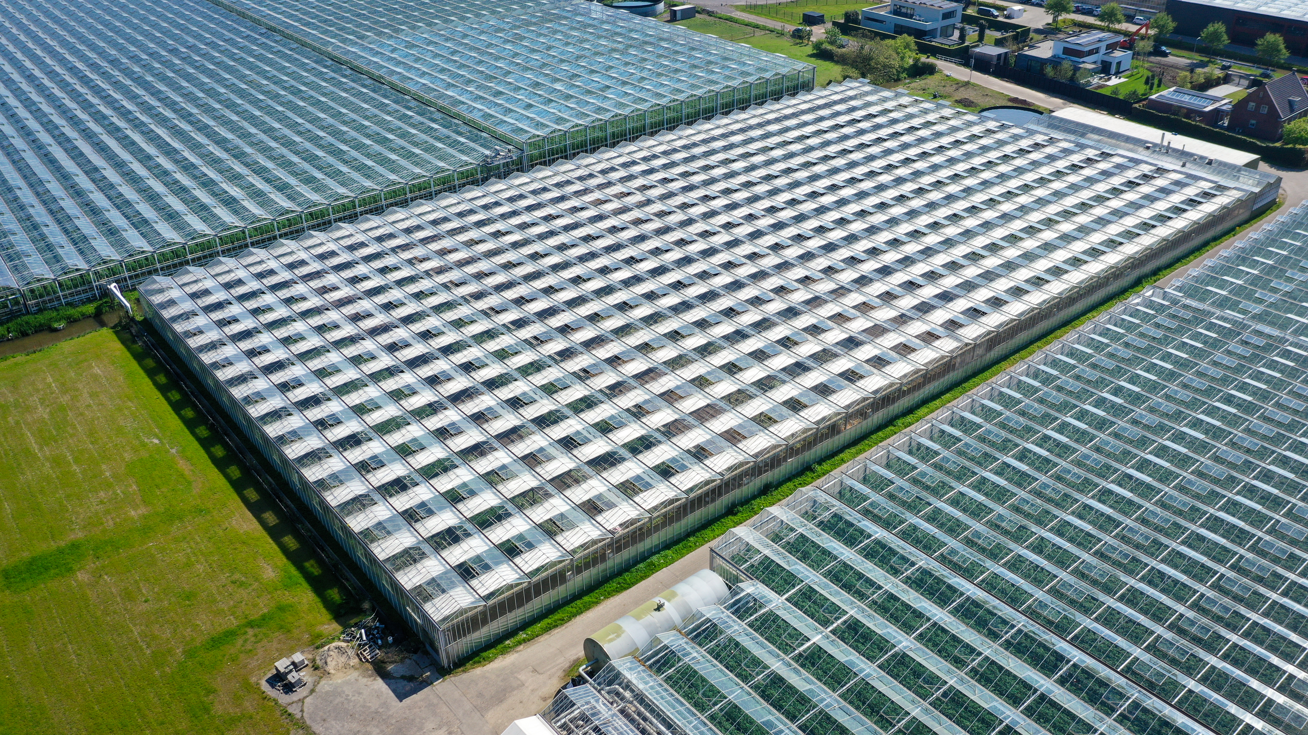 Venlo greenhouses 8,00 m 9.792 m²